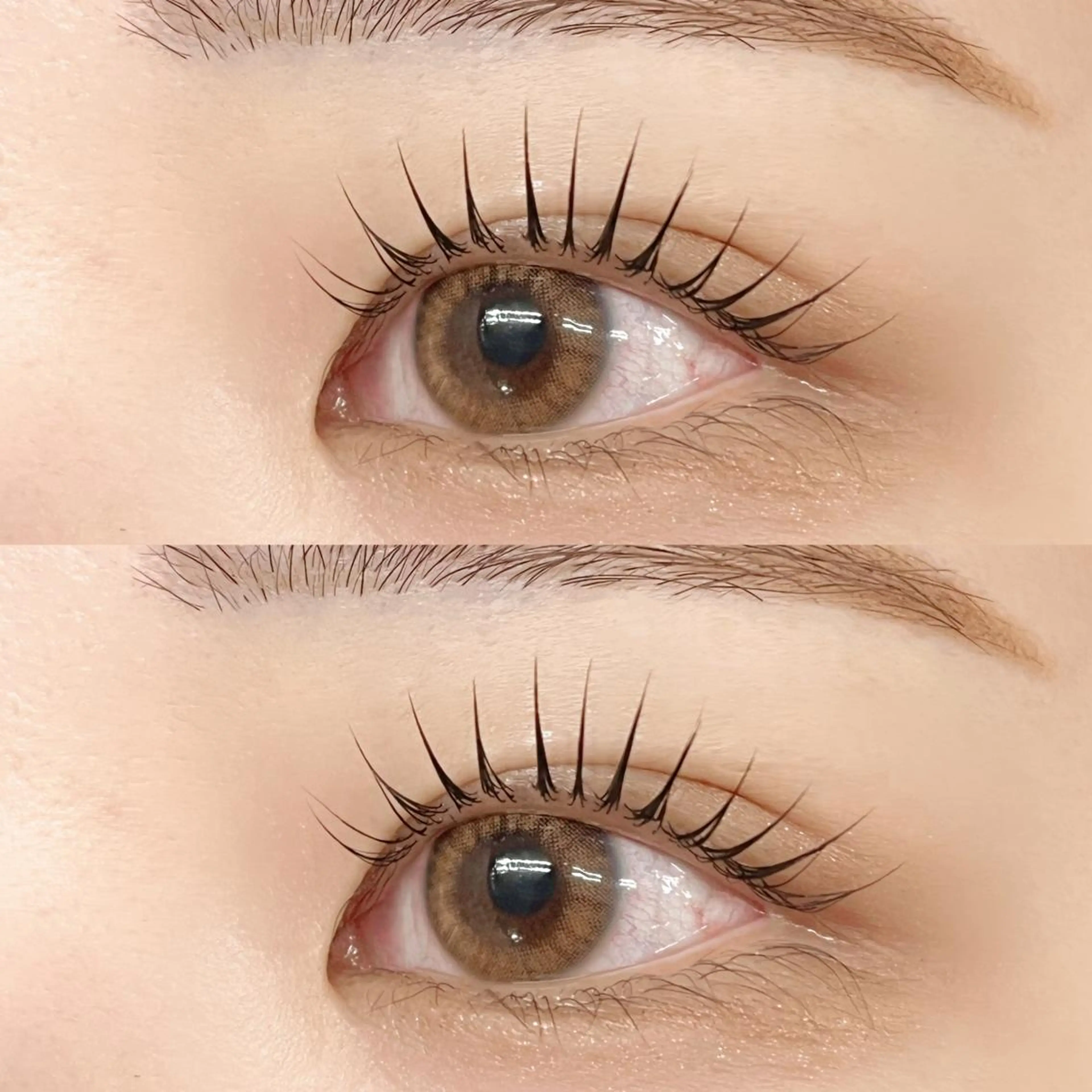 新規様限定‼️ラッシュリフト♡の写真