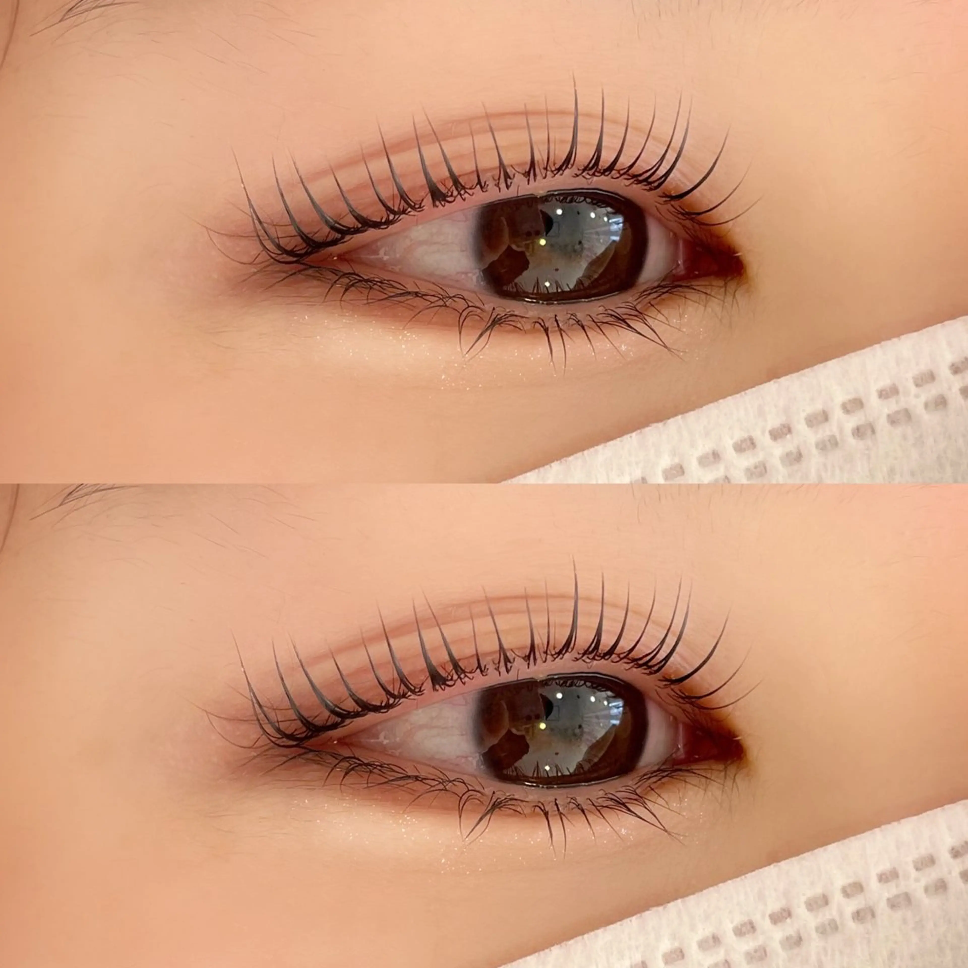 🤍パリジェンヌラッシュリフト🤍の写真