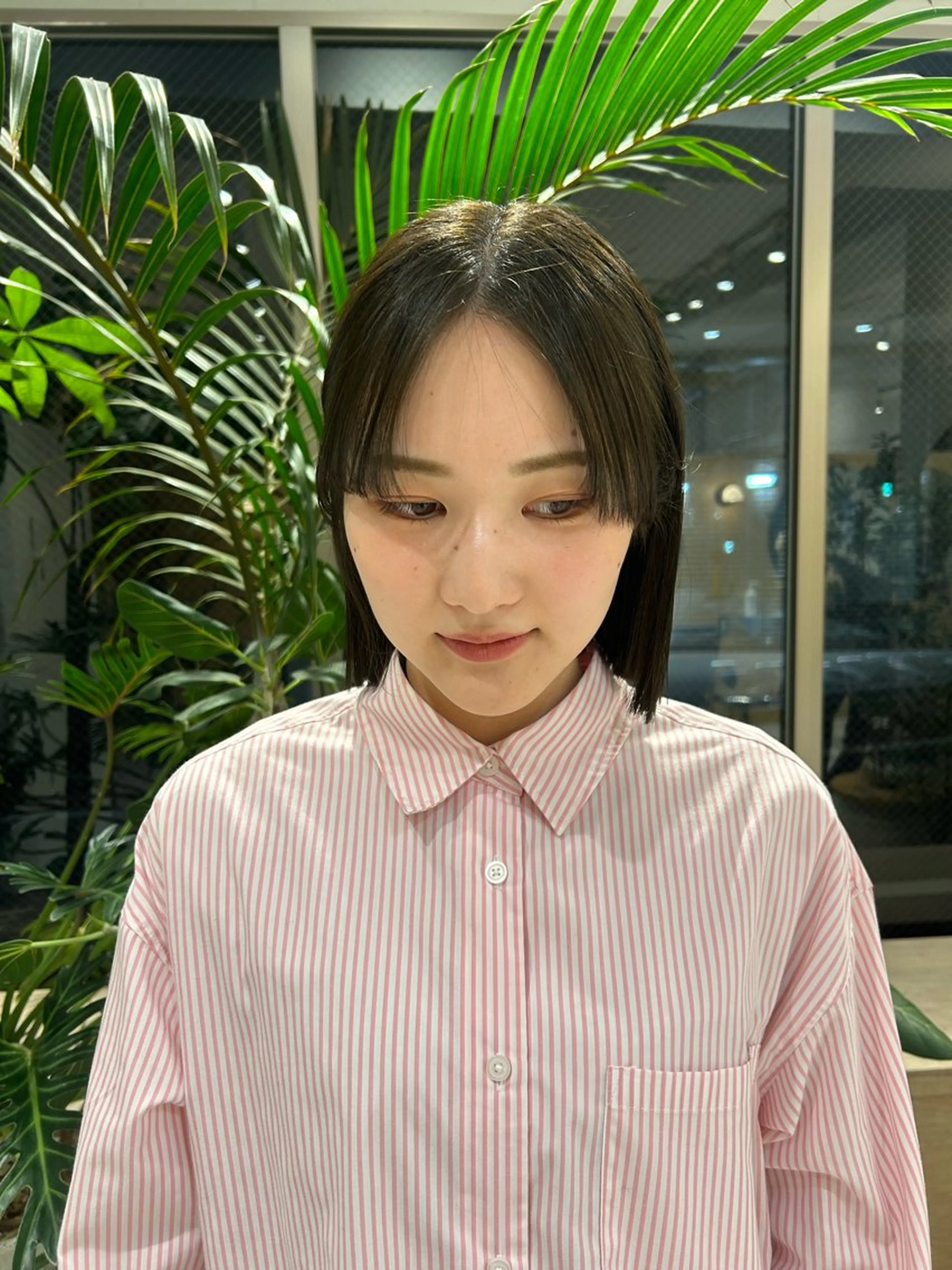 ショート カラー カット ヘアカラー トリートメント 🦖ミニボブ/ボブ /MOEKA🦕のヘアスタイル