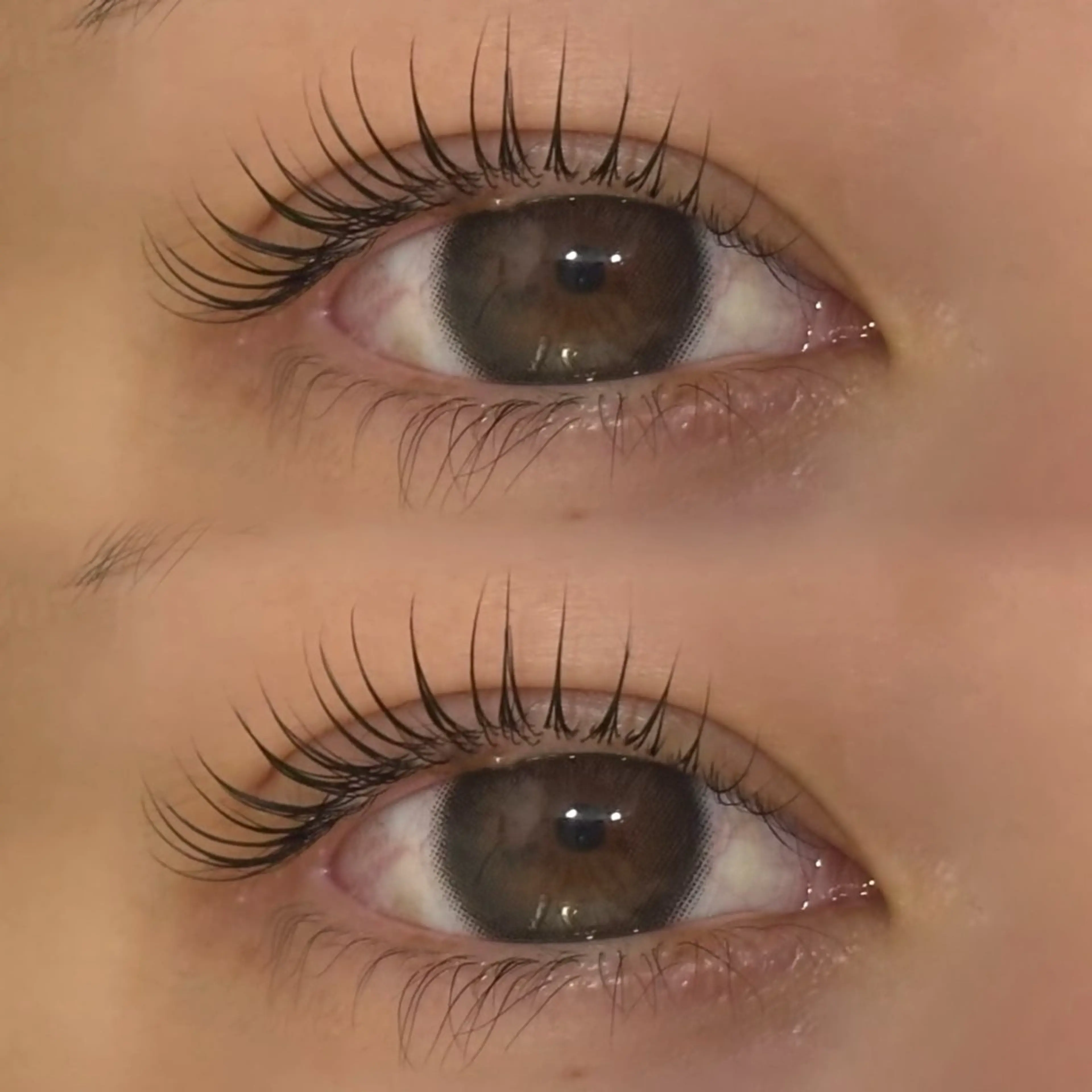 マツエク・マツパ Cカール 一重×まつ毛パーマ マツパ miki🍒 横浜のマツエク・マツパデザイン