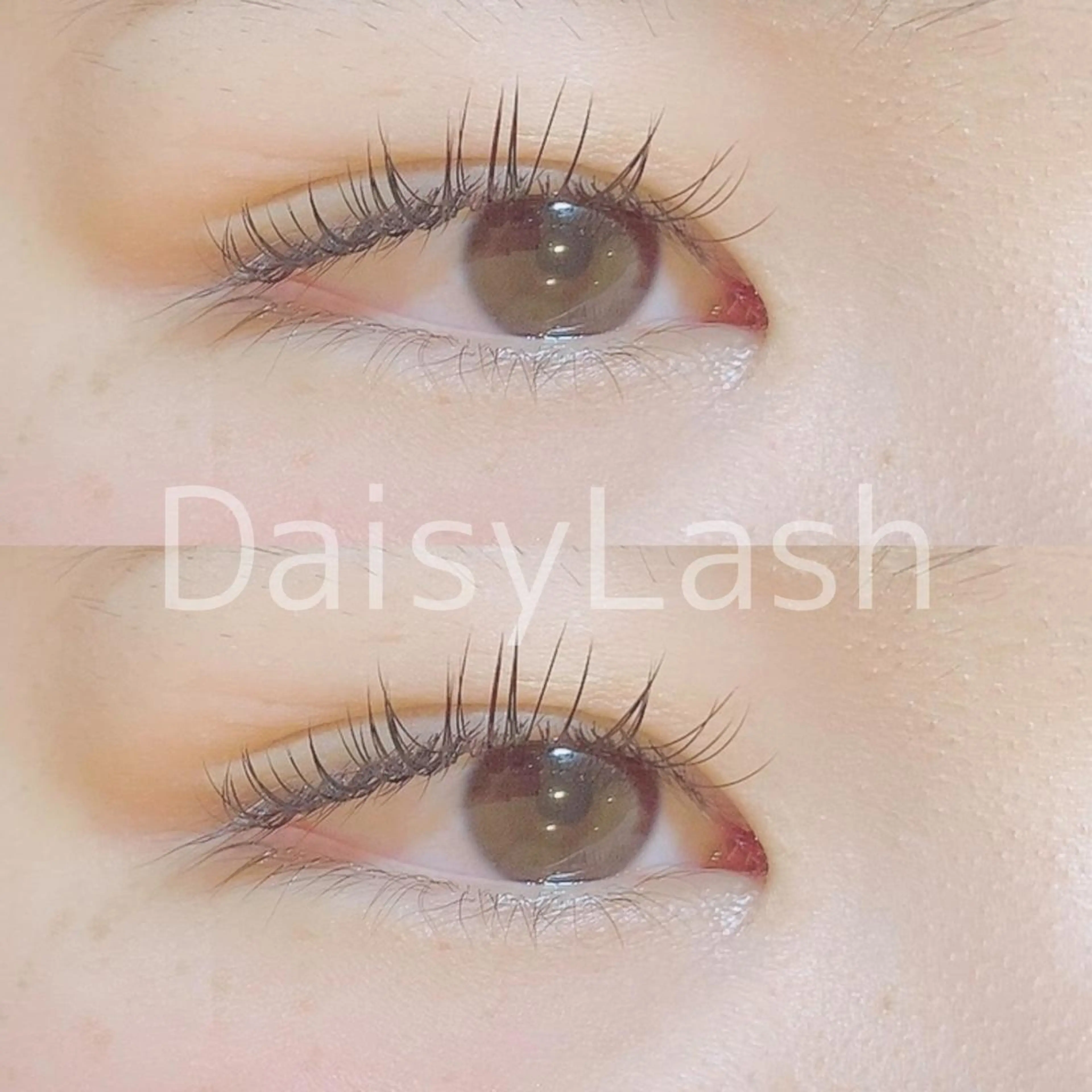 マツエク・マツパ DaisyLash 京橋店のマツエク・マツパデザイン