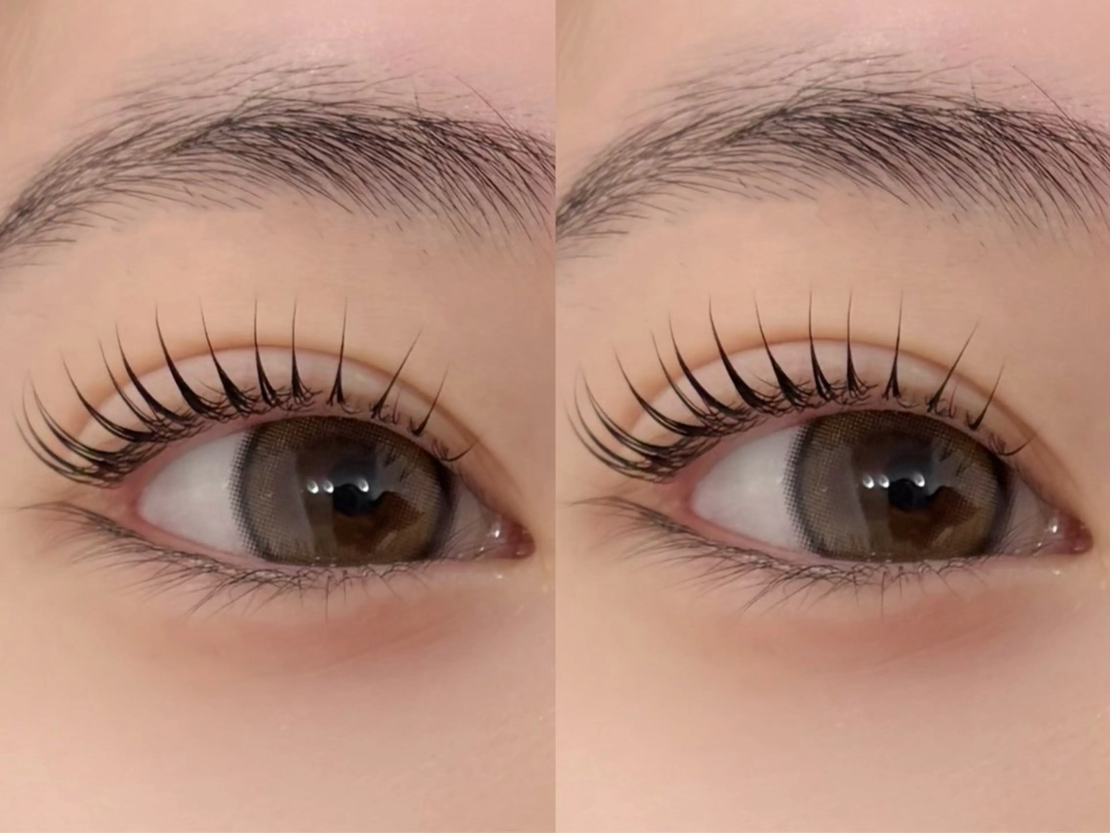 🎀上下まつげパーマ【アイシャンプー・コーティング付き】の写真