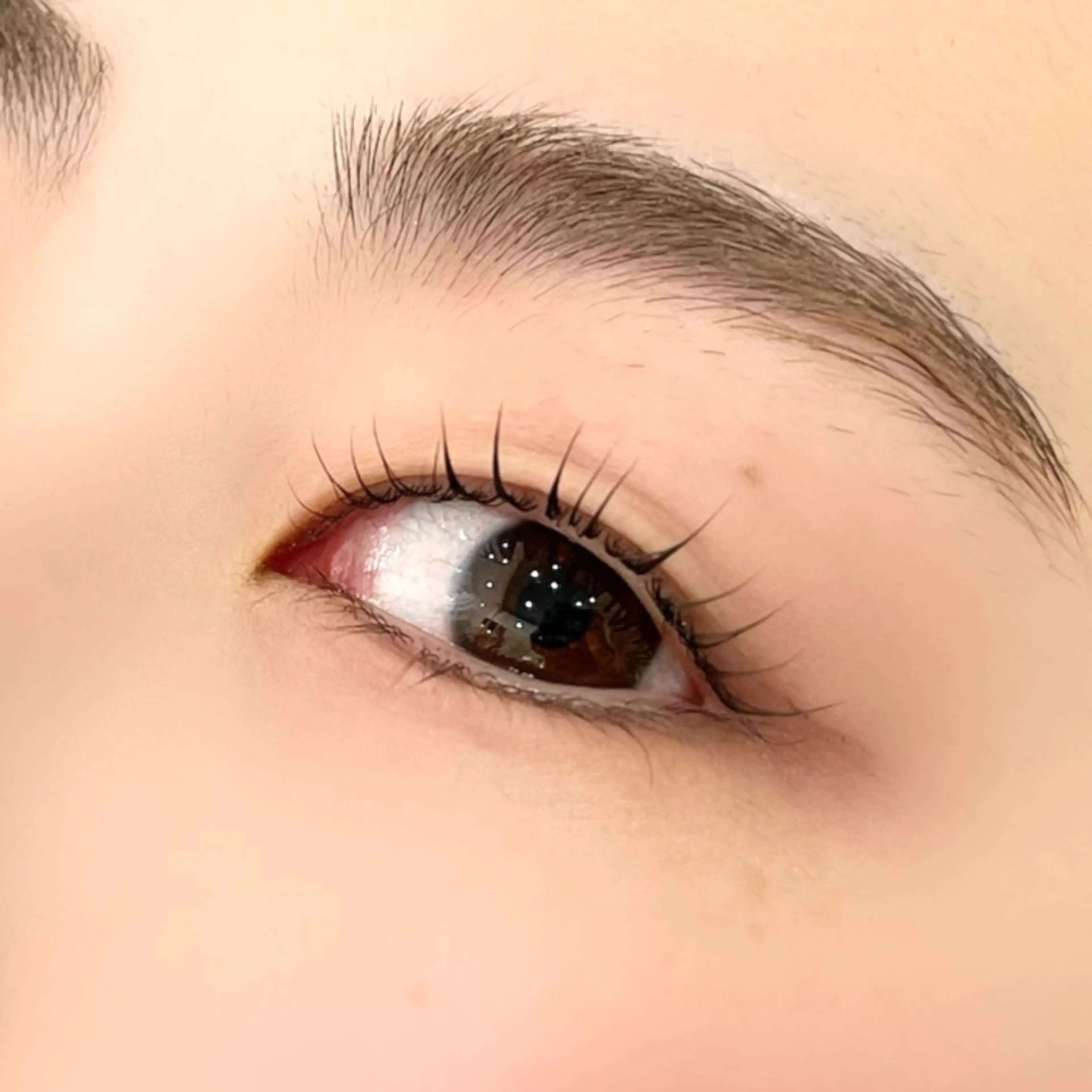 ご新規さま//オーダーメイドまつげパーマ＋エグータム一本プレゼントの写真