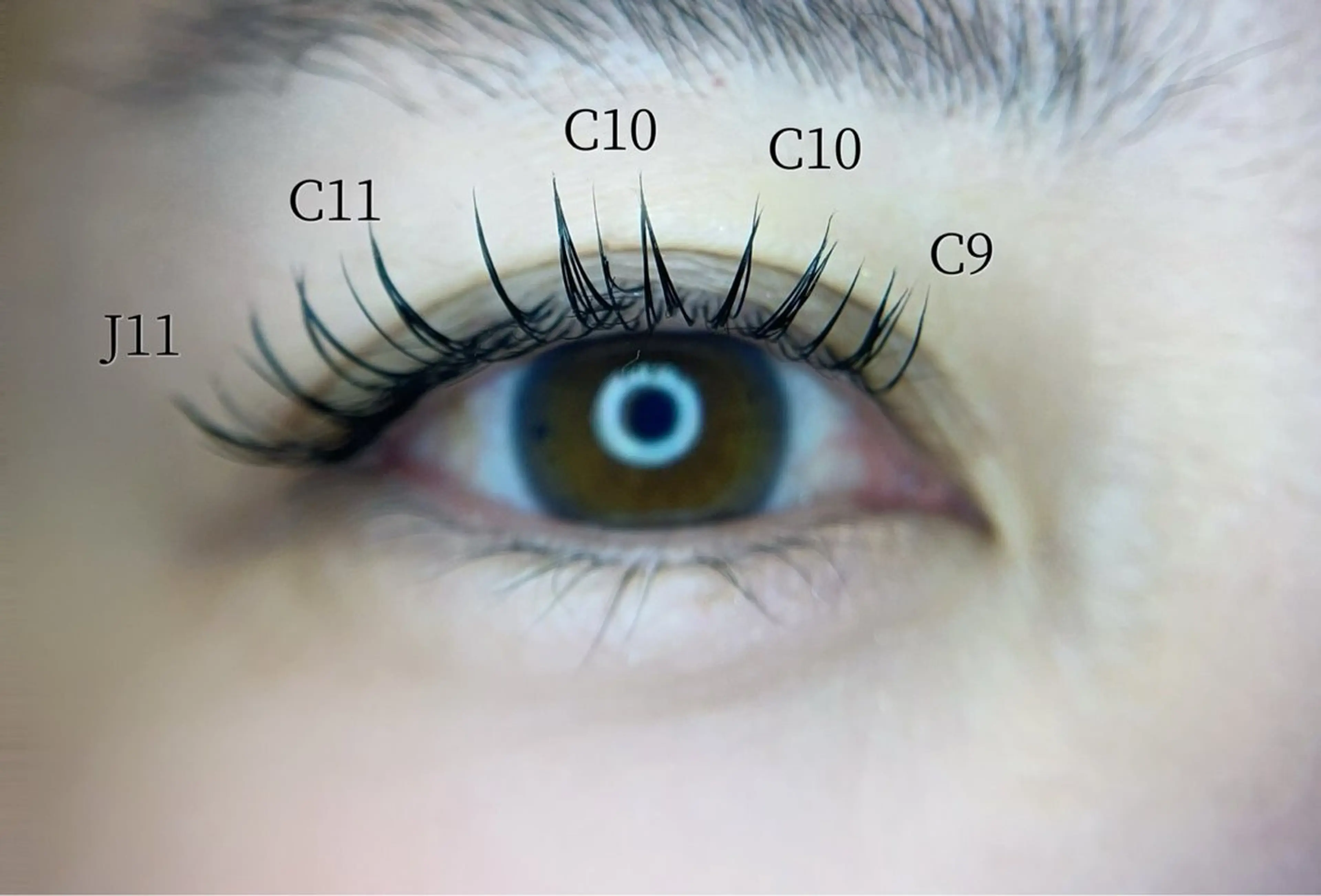 【華やか✨】最高級フラットラッシュ120本の写真