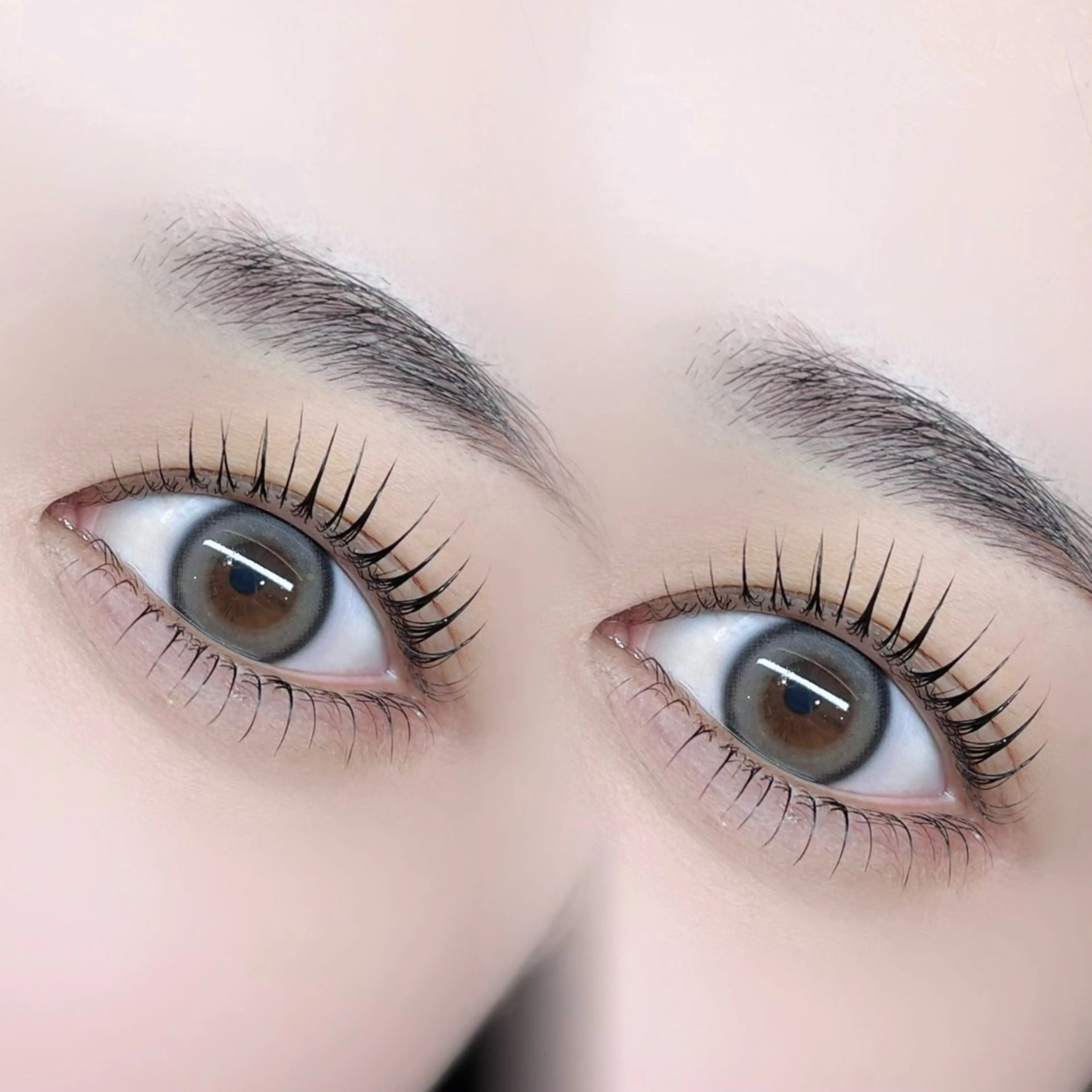 【話題の落ちないマスカラ】韓国式★ブラックティントまつ毛パーマの写真