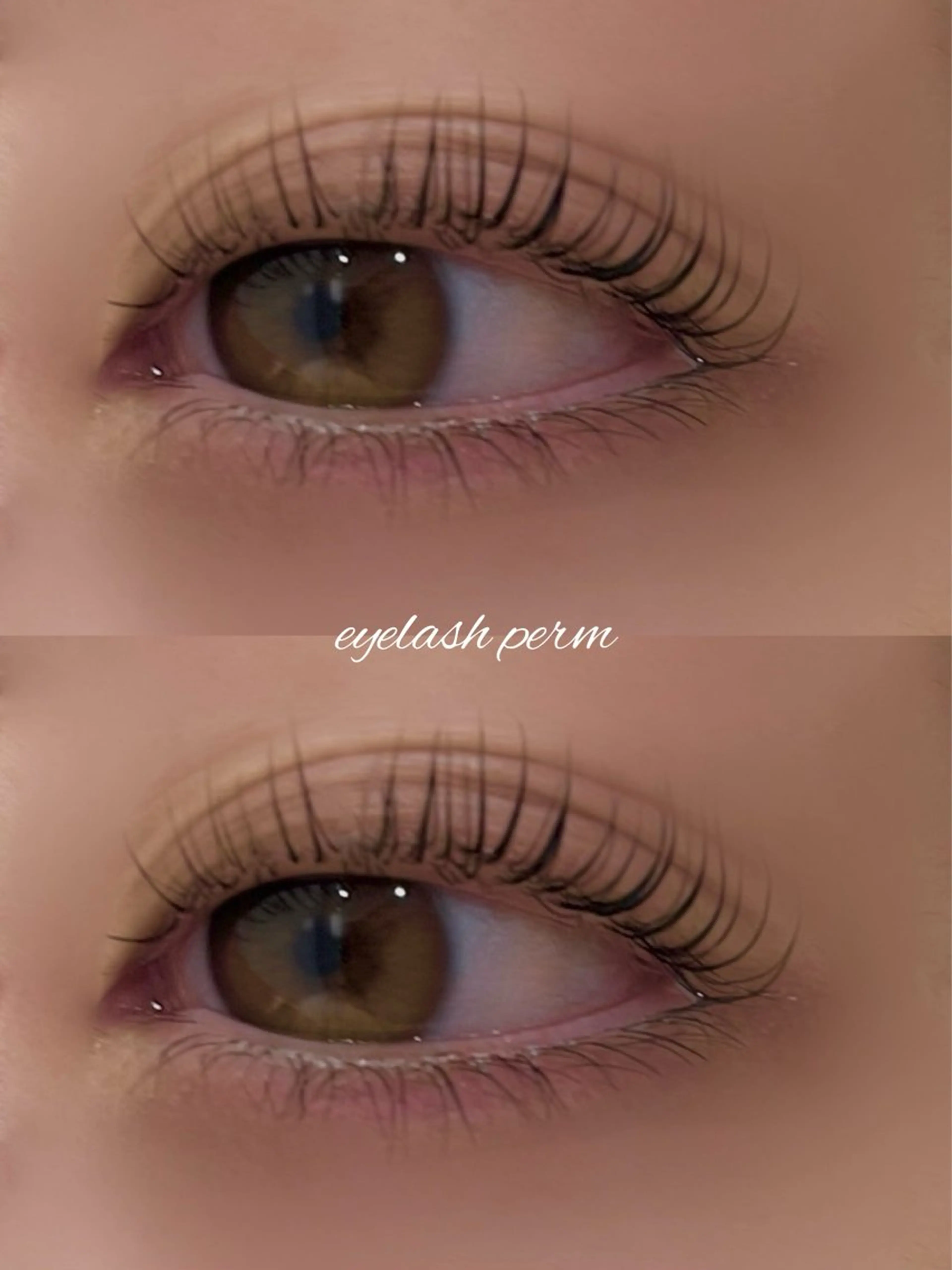 ラッシュリフト🕊️の写真