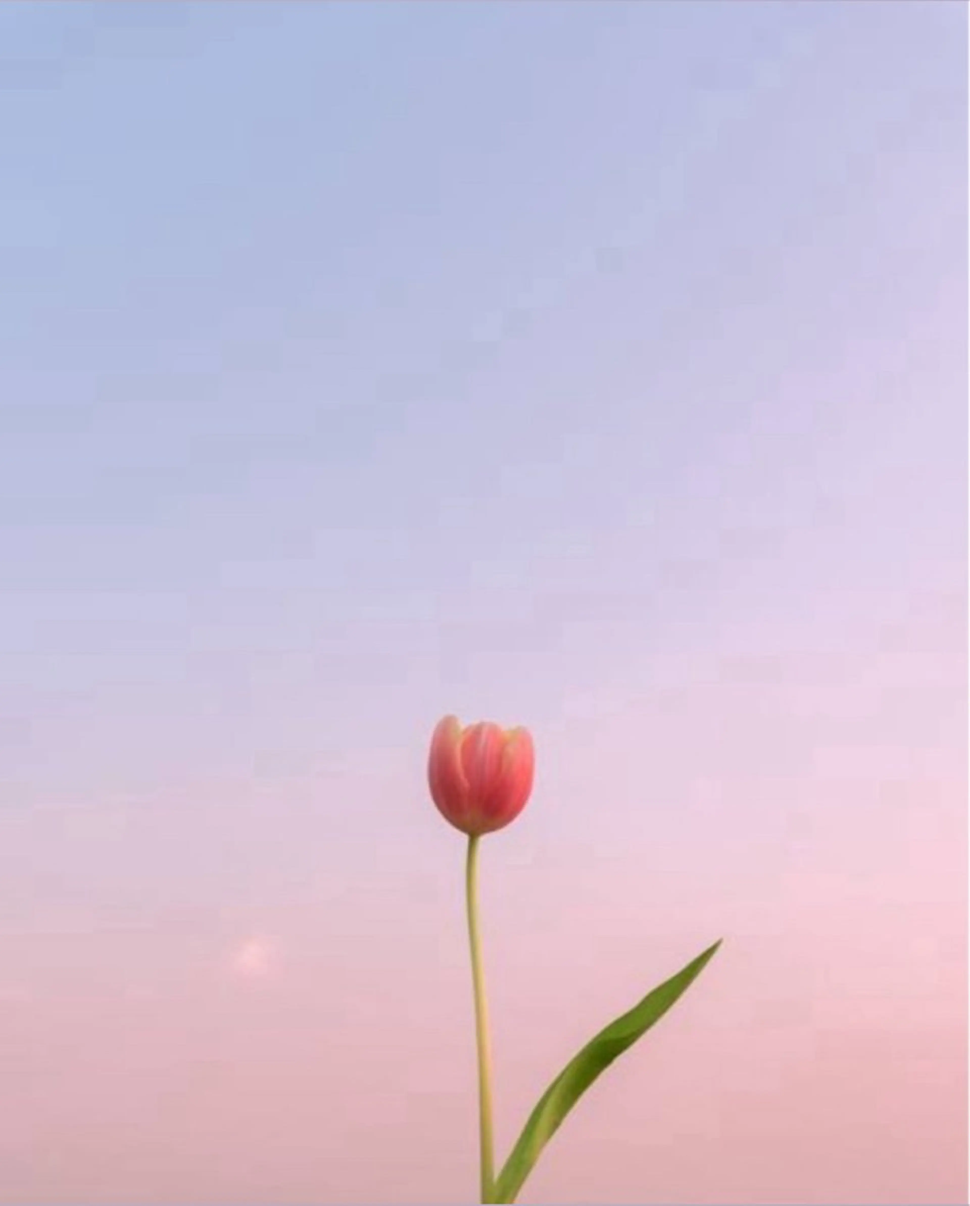 🕯️maaz lash1🕯️のマツエク・マツパデザイン