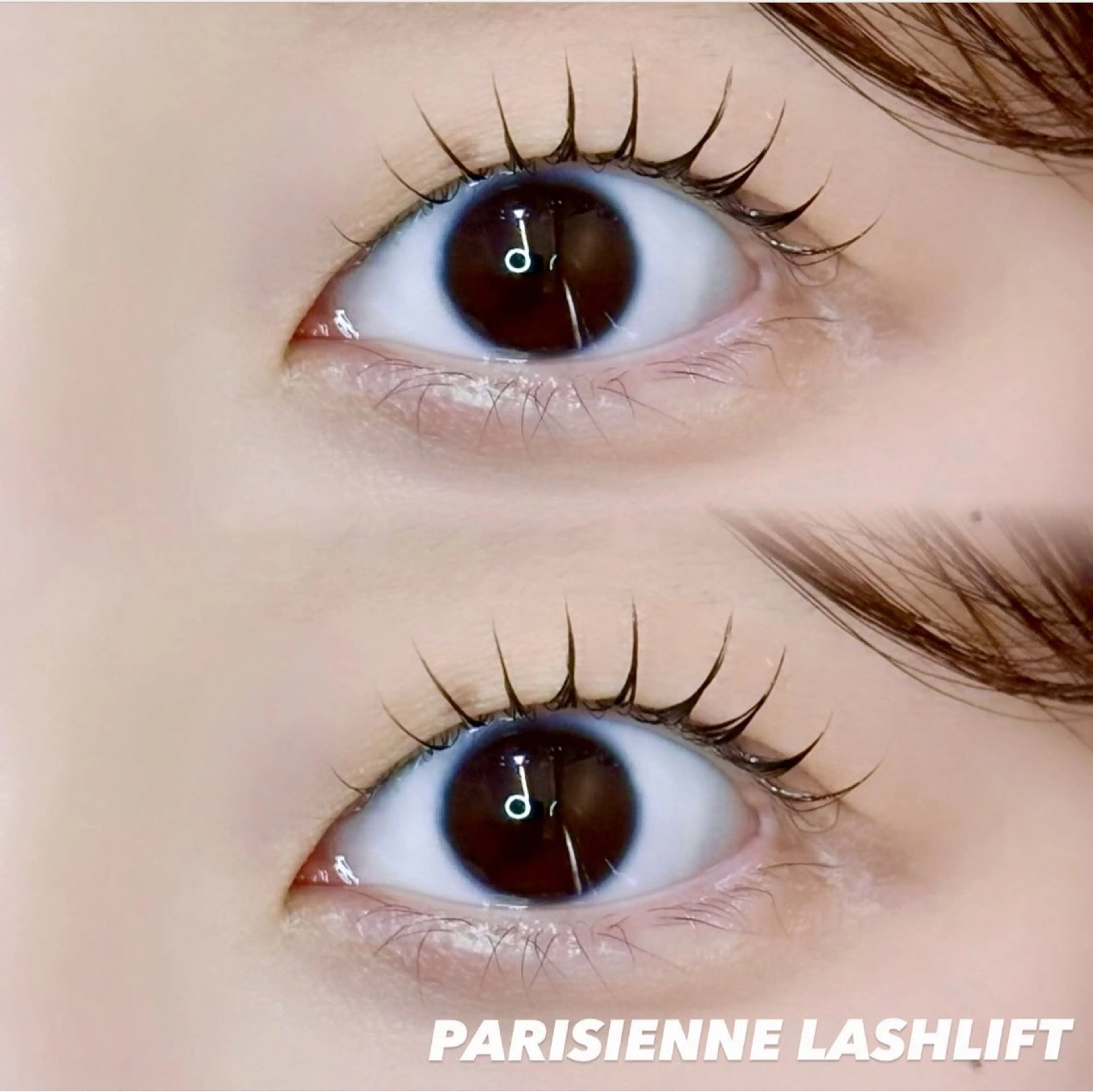 マツエク・マツパ マツパ 🦖fein. YUINA🦕⋆͛のマツエク・マツパデザイン