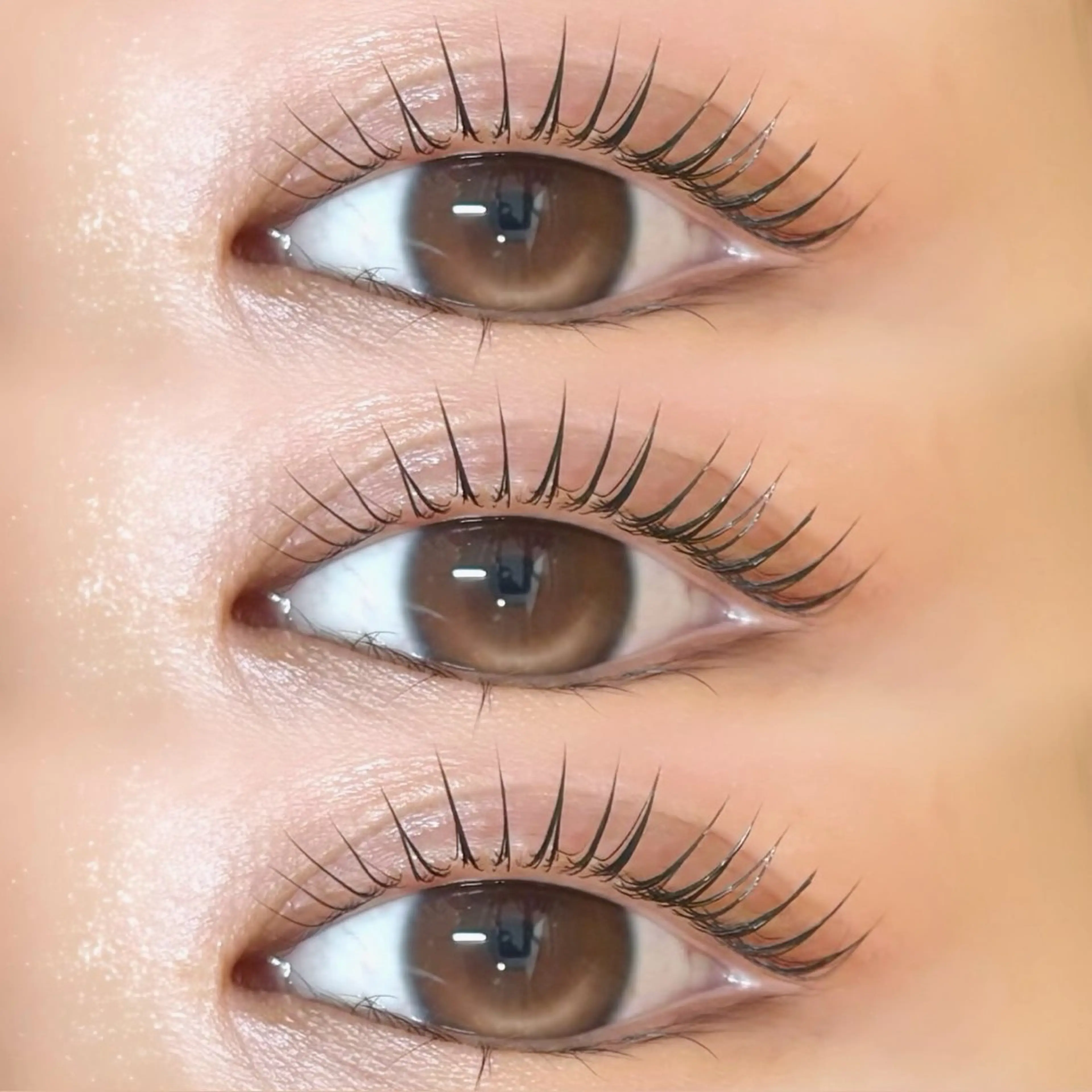 マツエク・マツパ マツパ 束感/LED/まつパ 🌼segawaのマツエク・マツパデザイン