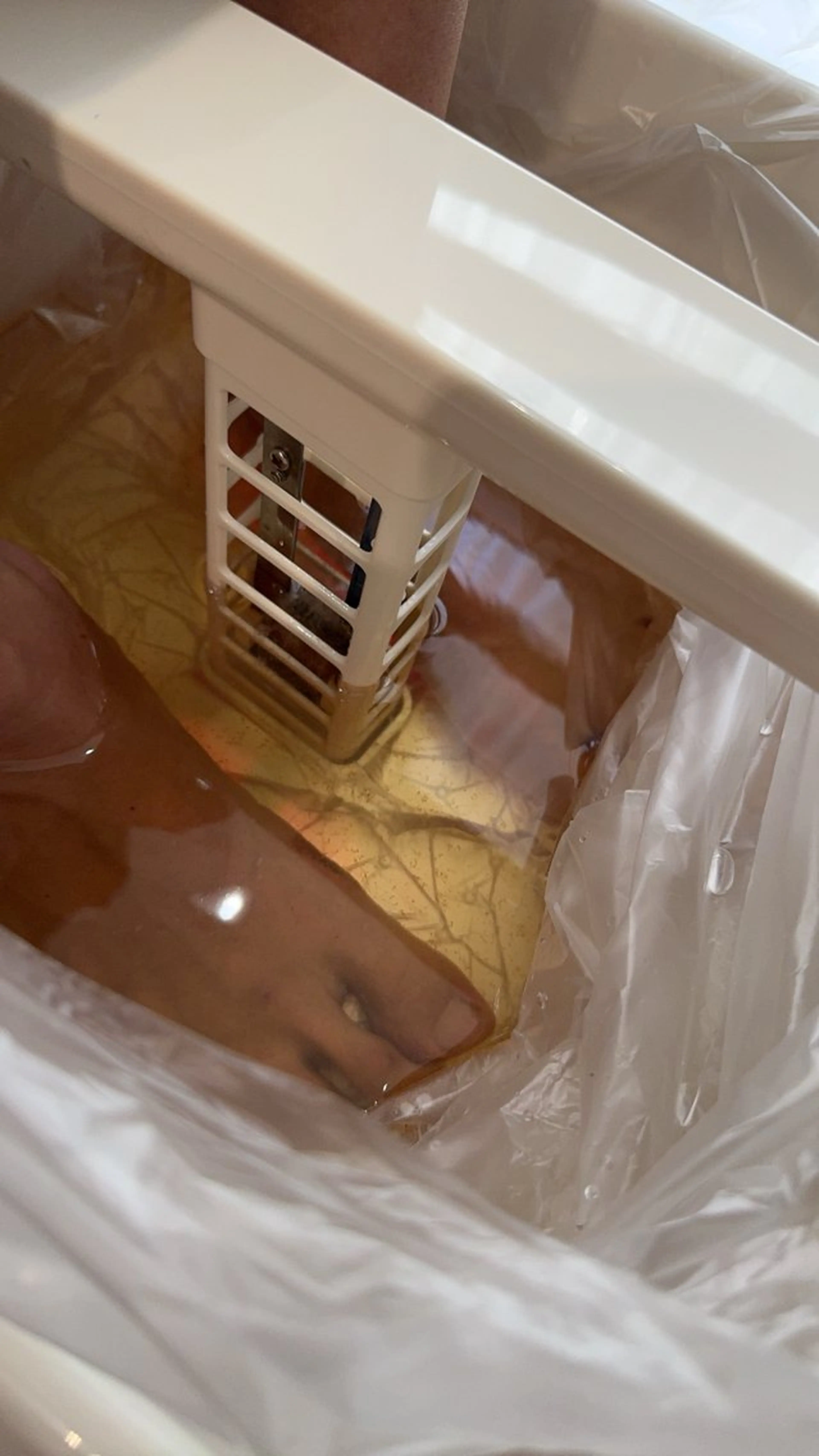 🦶水素デトックスフットバス＊足元から全身スッキリ♨️【30分】の写真