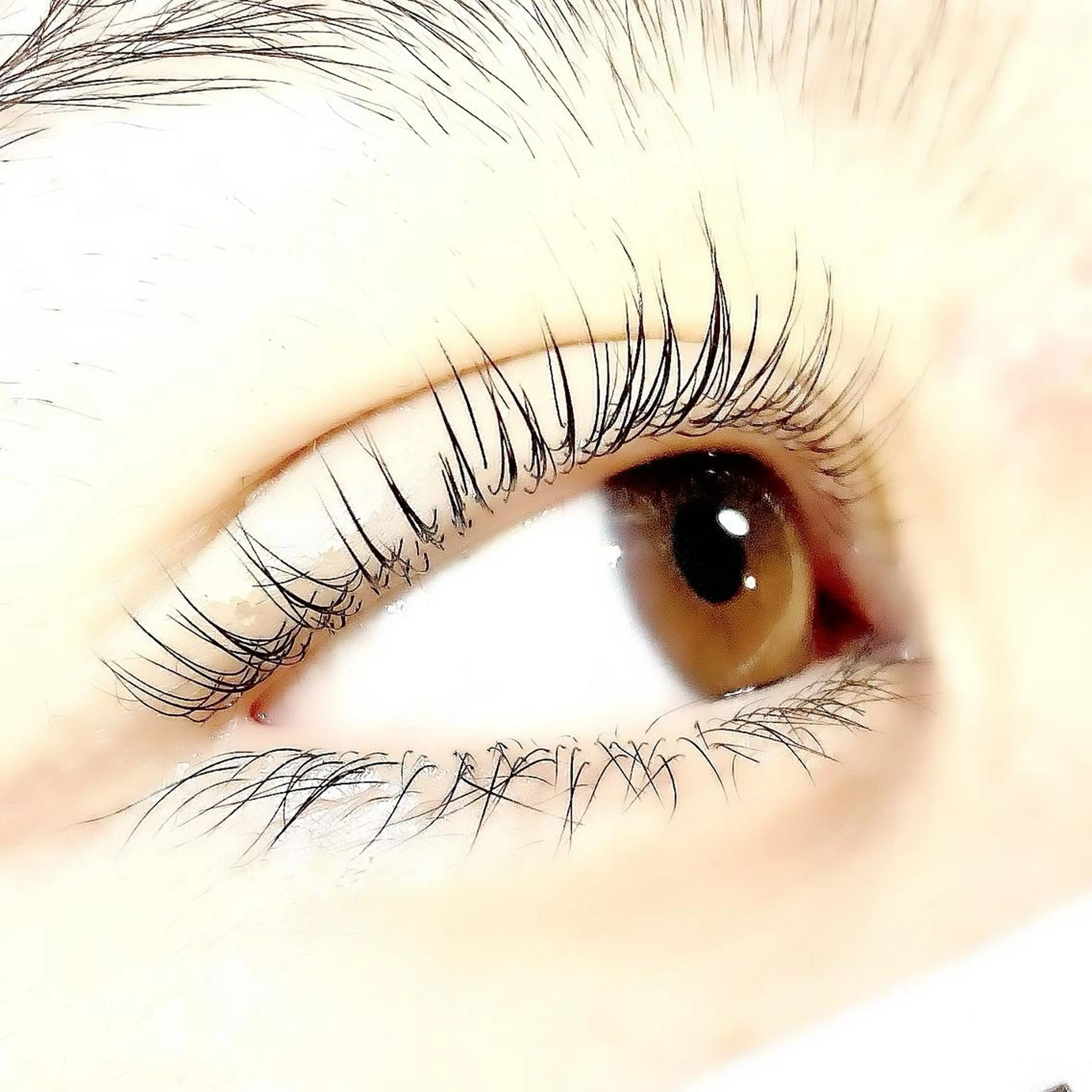 マツエク・マツパ Cカール Le　ciel eyes　森本のその他イメージ