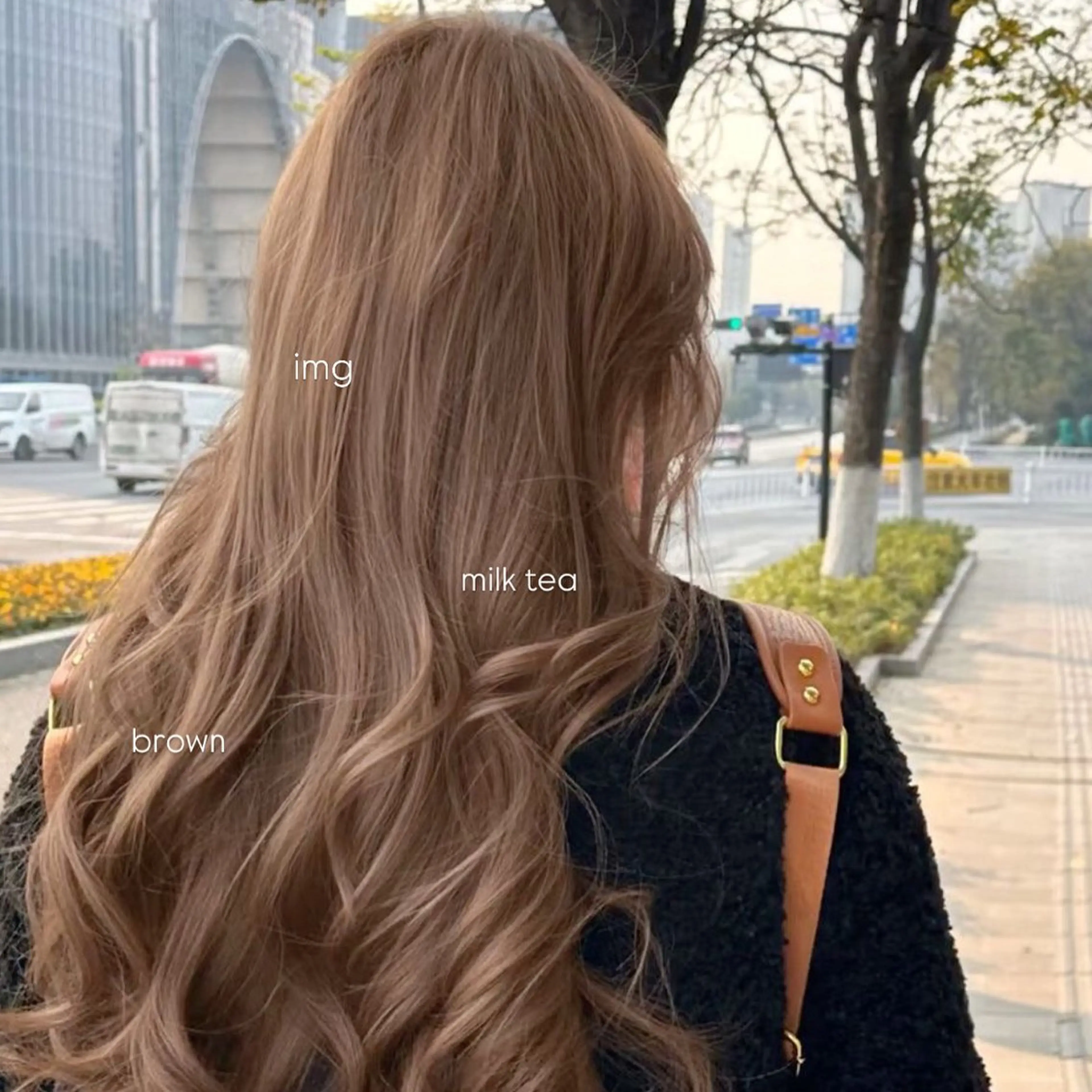 カラー ベージュ・ラベンダー カラー🎀りりのヘアスタイル