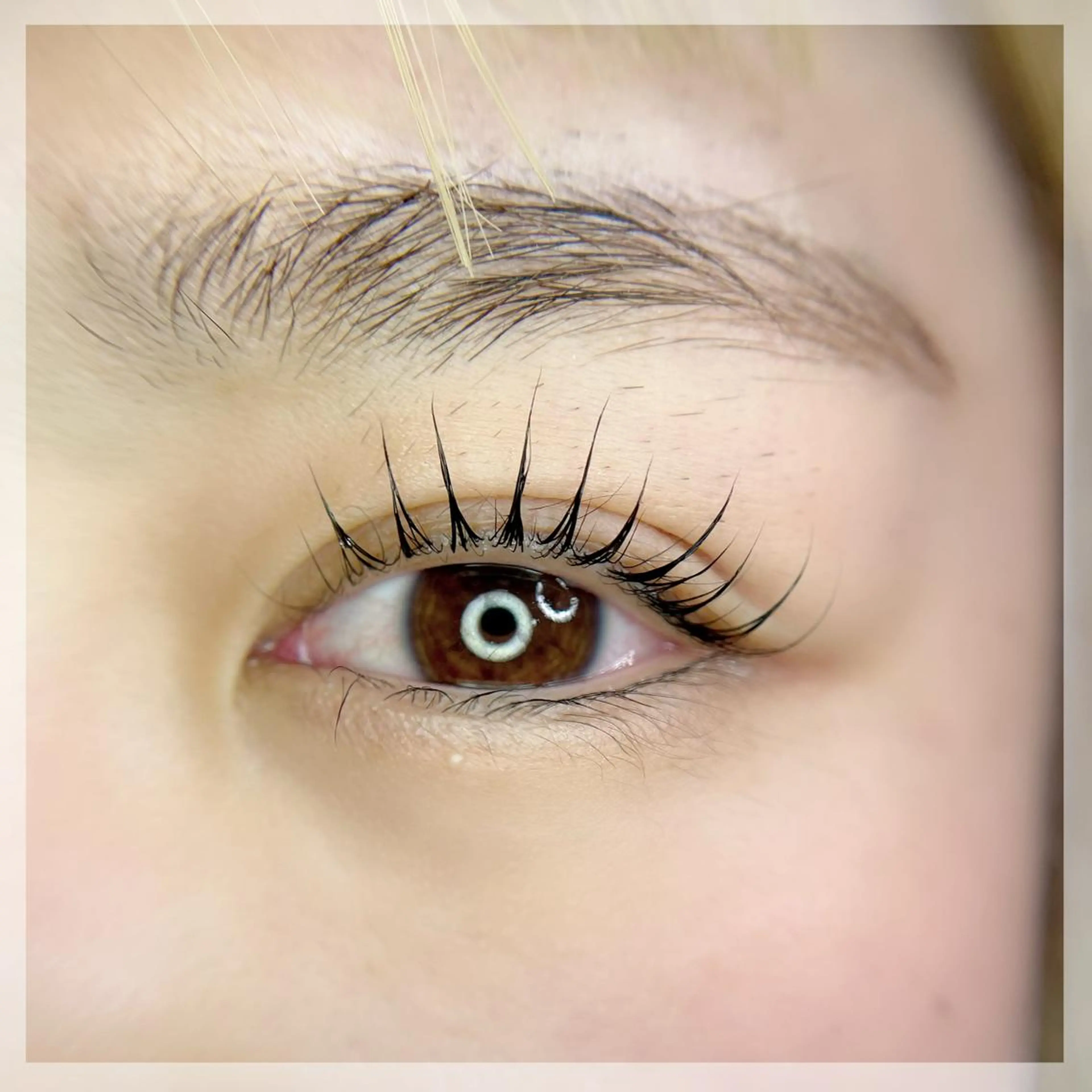 ✨まつ毛カール✨の写真