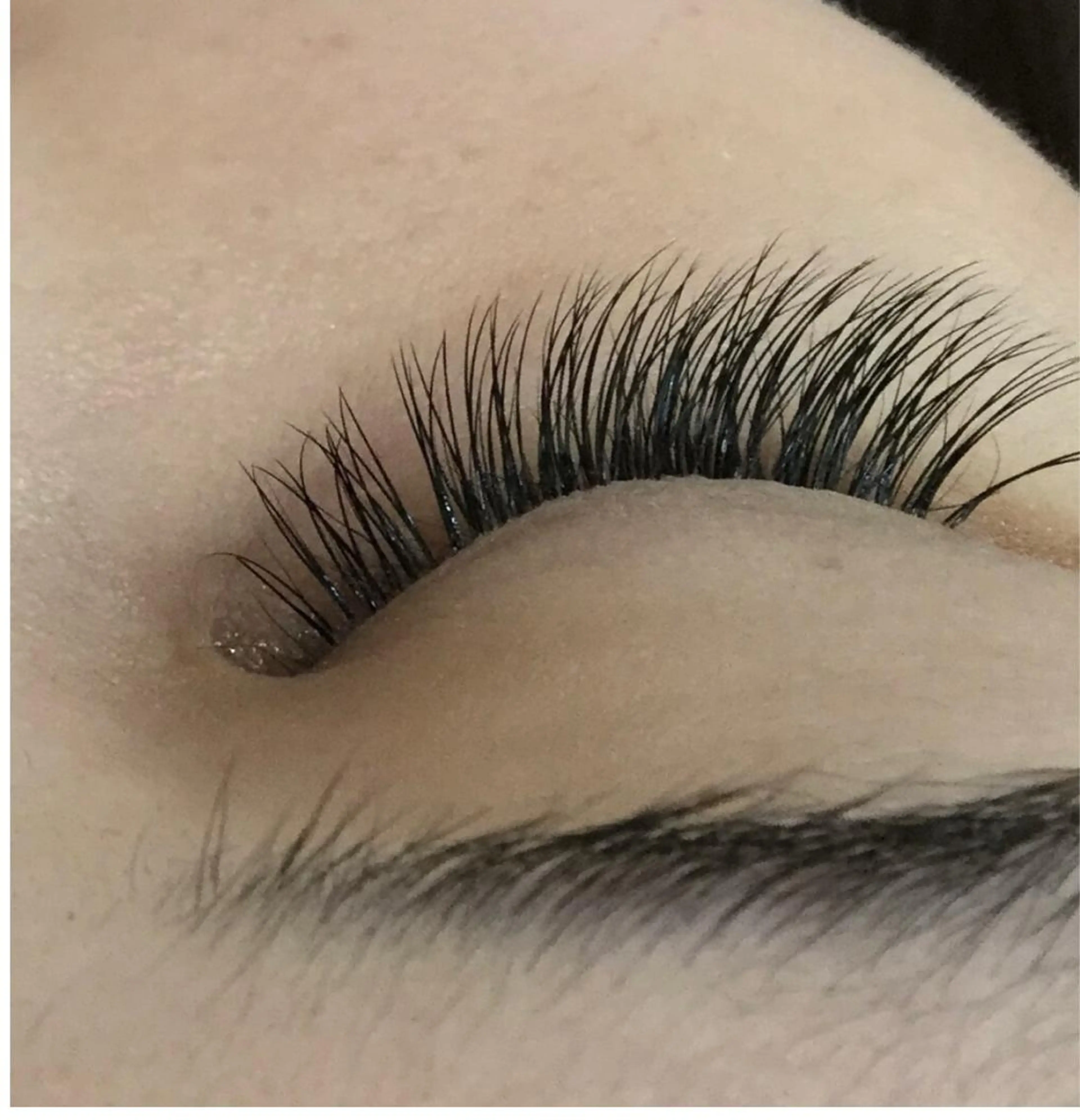 【コーティング付く】人気ナンバーワン　フラットラッシュ 120本の写真