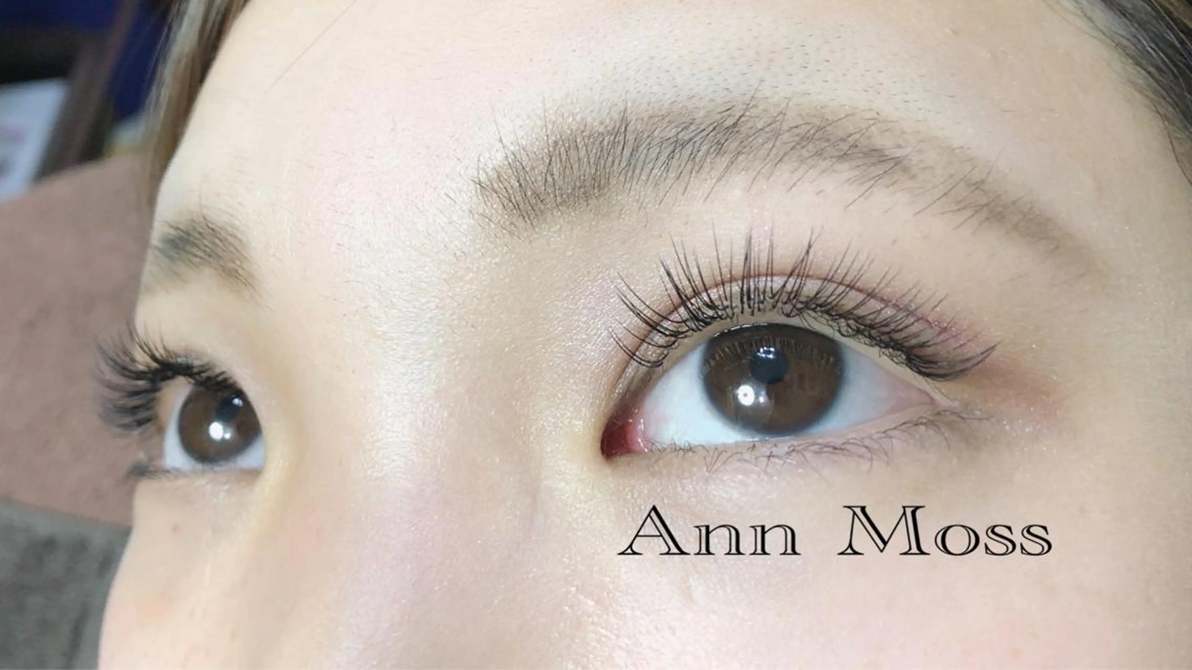 マツエク・マツパ 無料モデル募集中 Ann Mossのマツエク・マツパデザイン