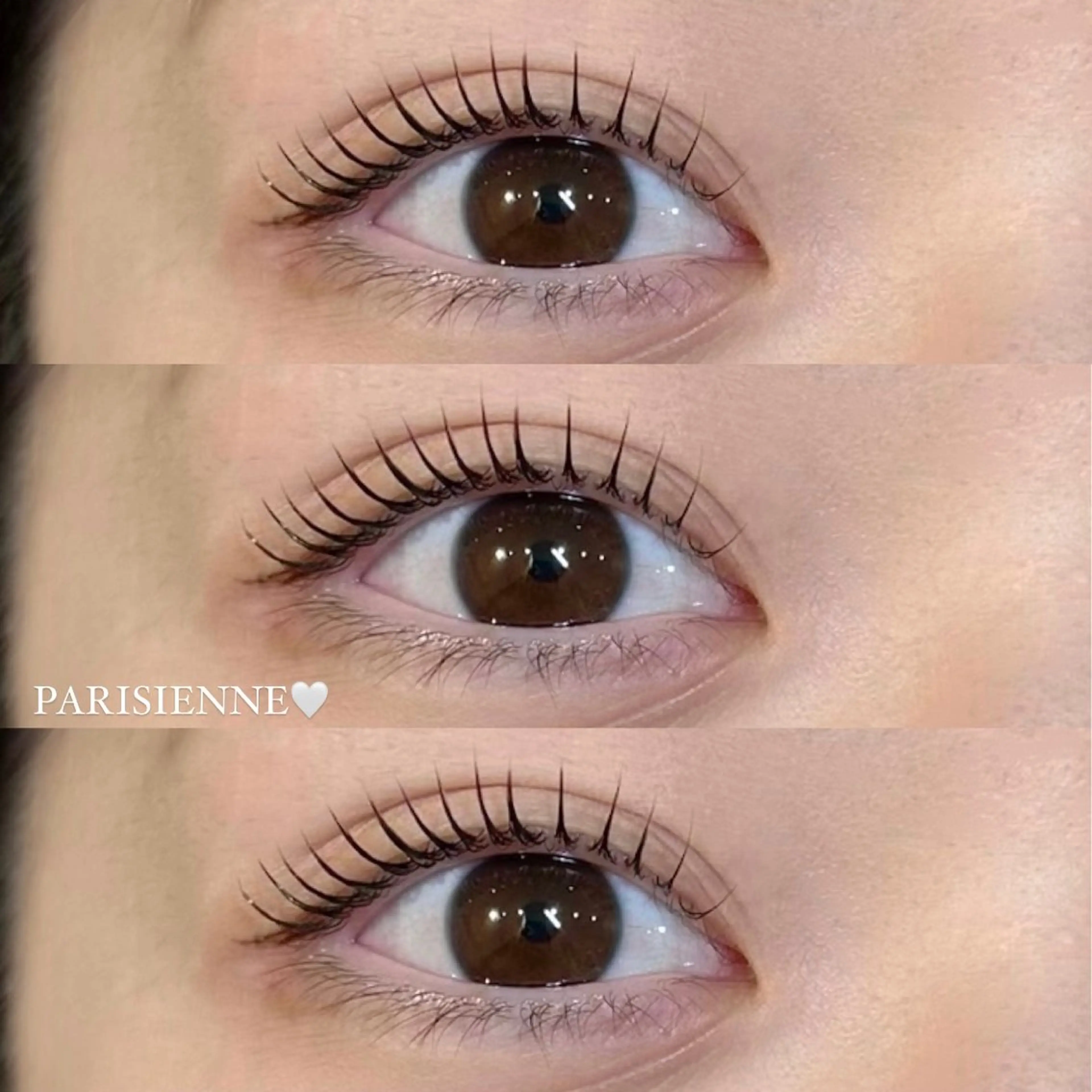 ✨️当日限定✨️パリジェンヌラッシュリフトorラッシュリフトの写真