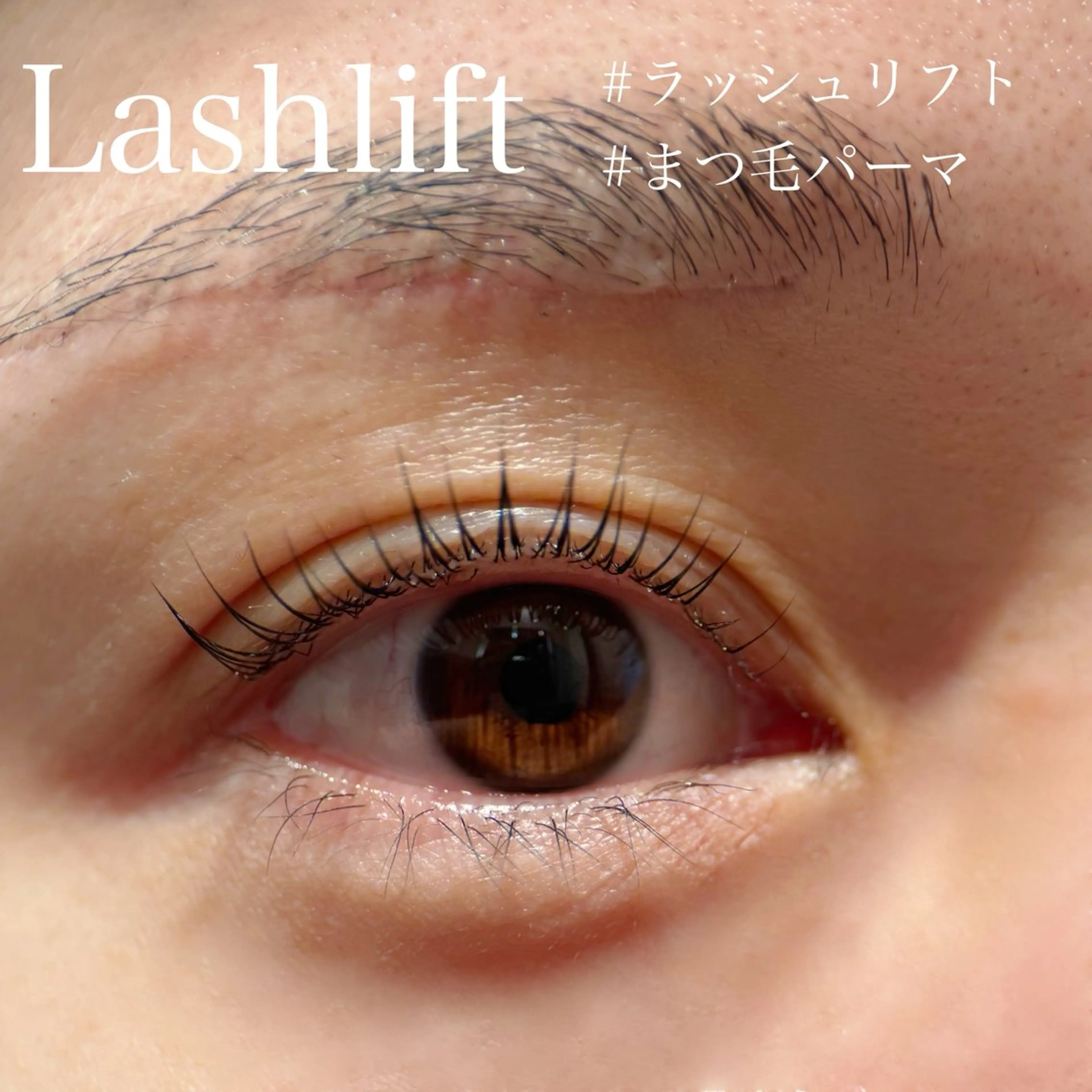 《ミニモ学割》【ラッシュリフト上】コーティング付の写真