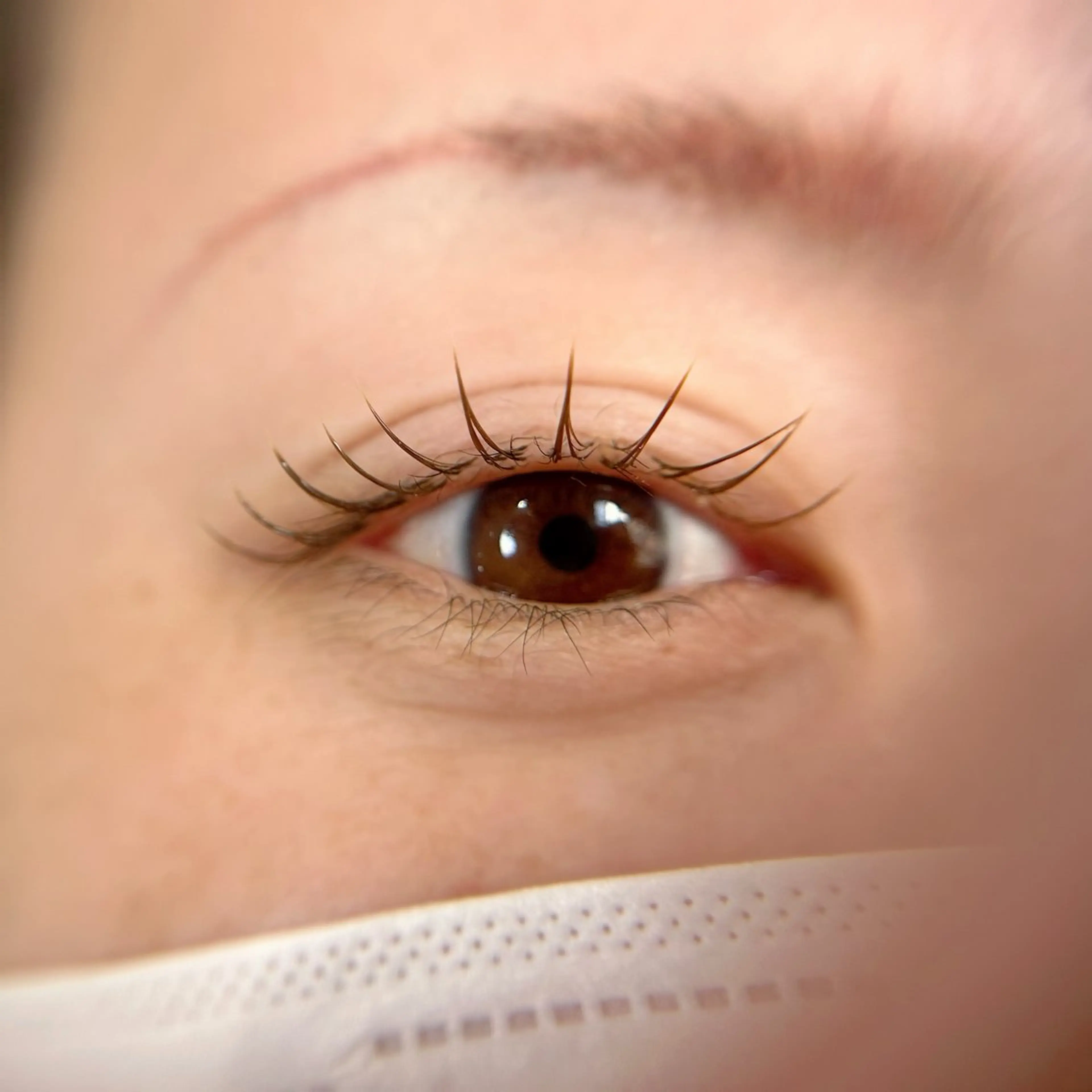 マツエク・マツパ マツエク K&E lashe /大垣　まつ毛、眉毛のマツエク・マツパデザイン