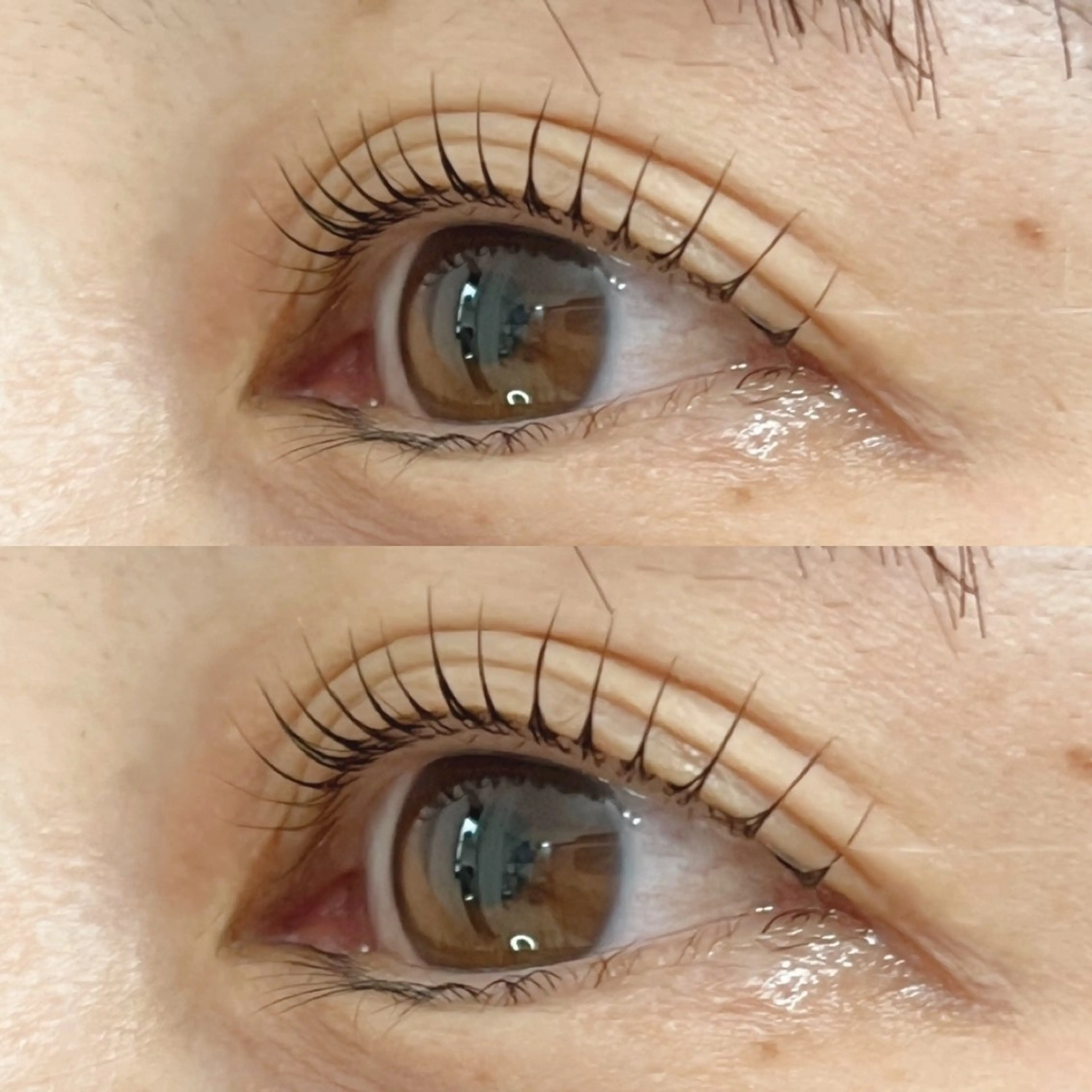 マツエク・マツパ 一重×まつ毛パーマ マツパ Eyelash Hauoliの眉毛・アイブロウイメージ