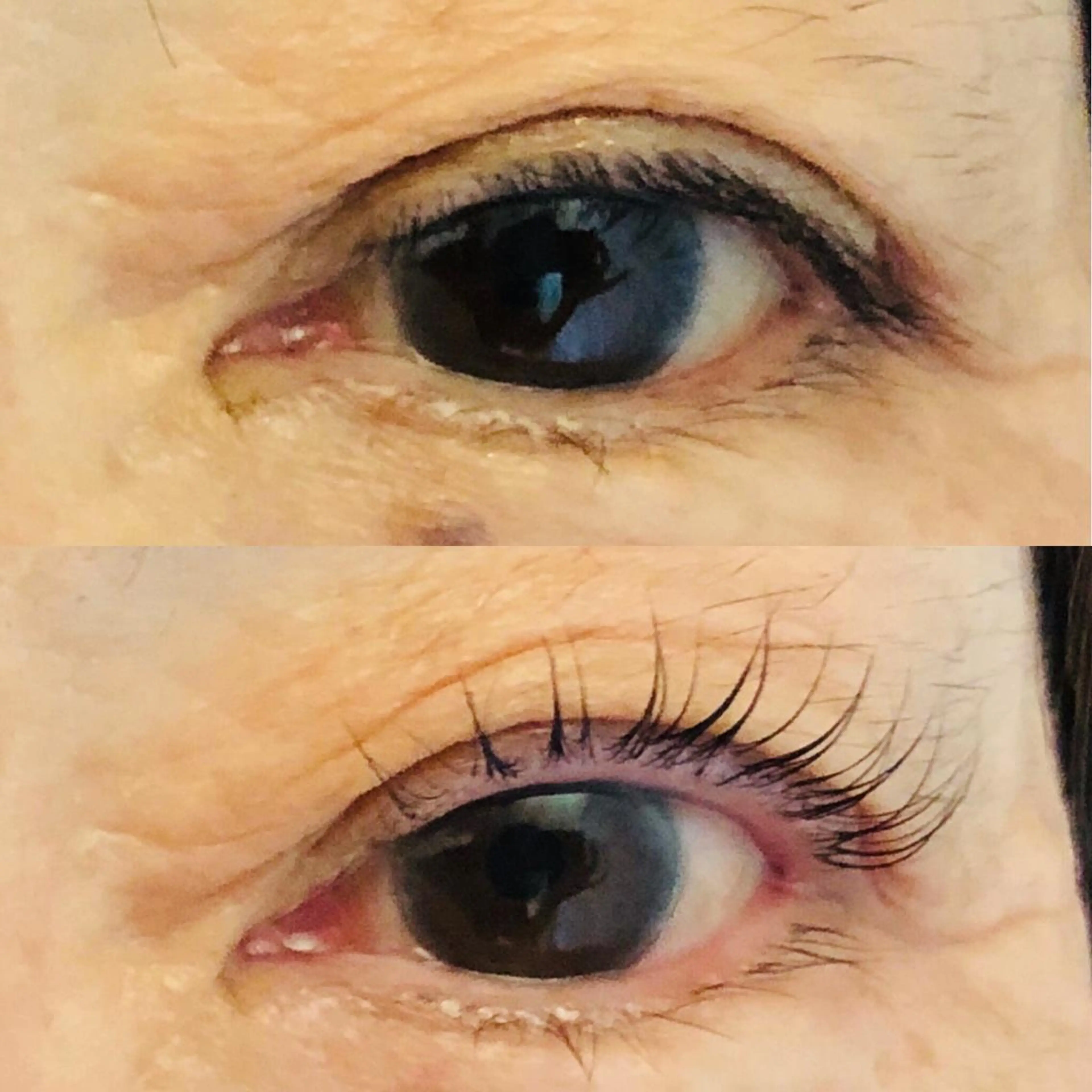 マツエク・マツパ tominaga ryokoのヘアスタイル