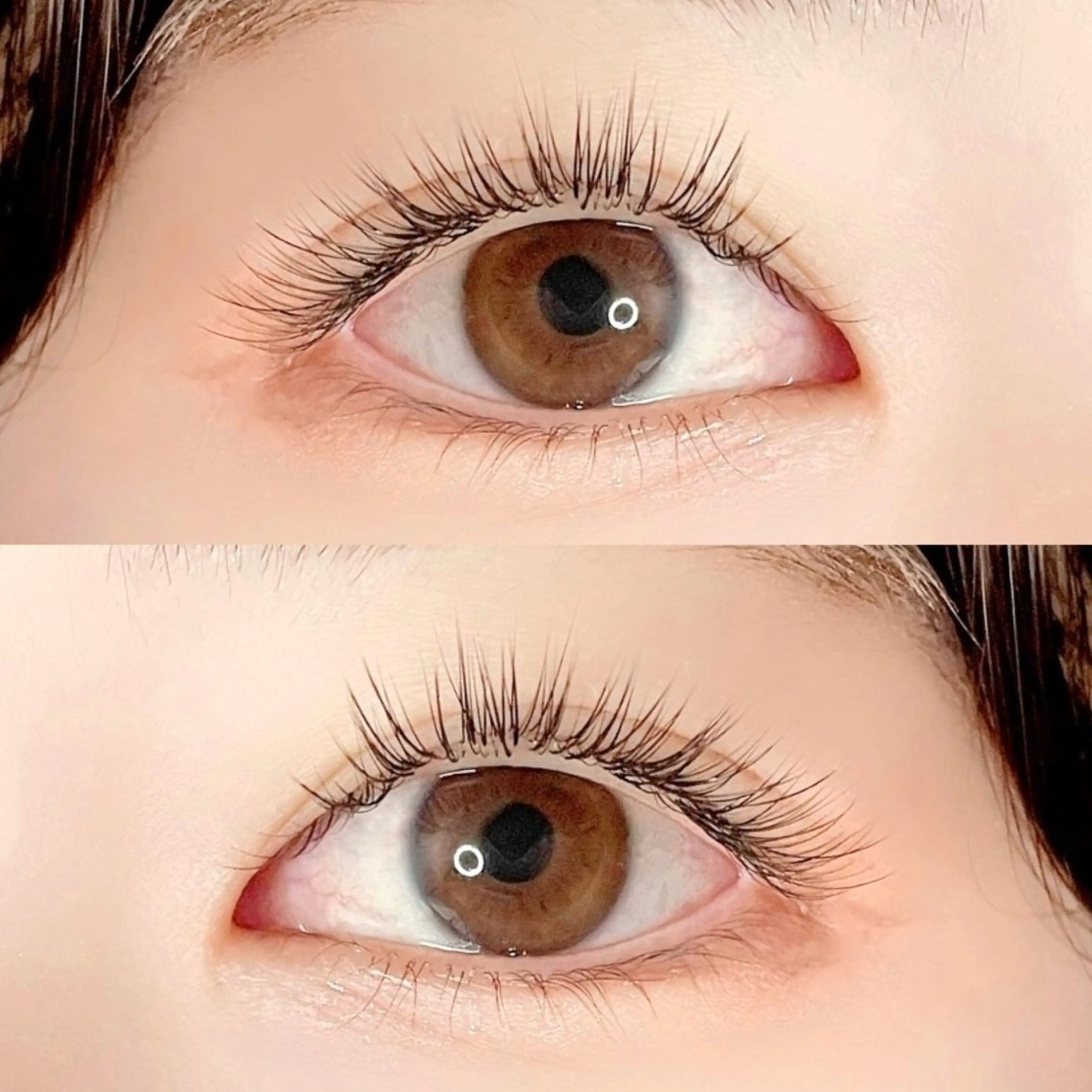 【ミニモ限定】💛パリエク👑パリジェンヌ+フラットラッシュ80本/¥8500の写真