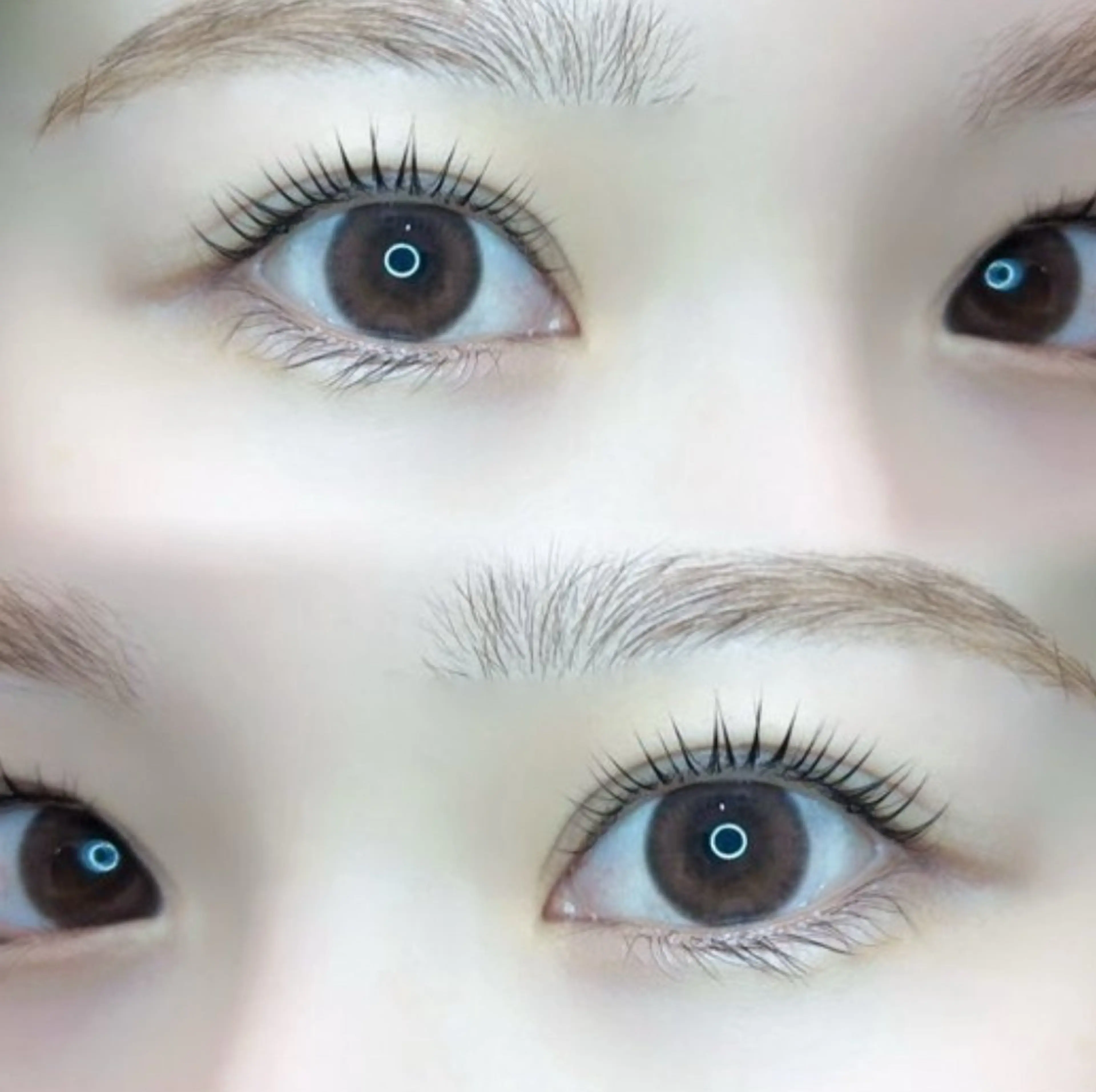 マツエク・マツパ 🍀fein. sakura🍀の眉毛・アイブロウイメージ