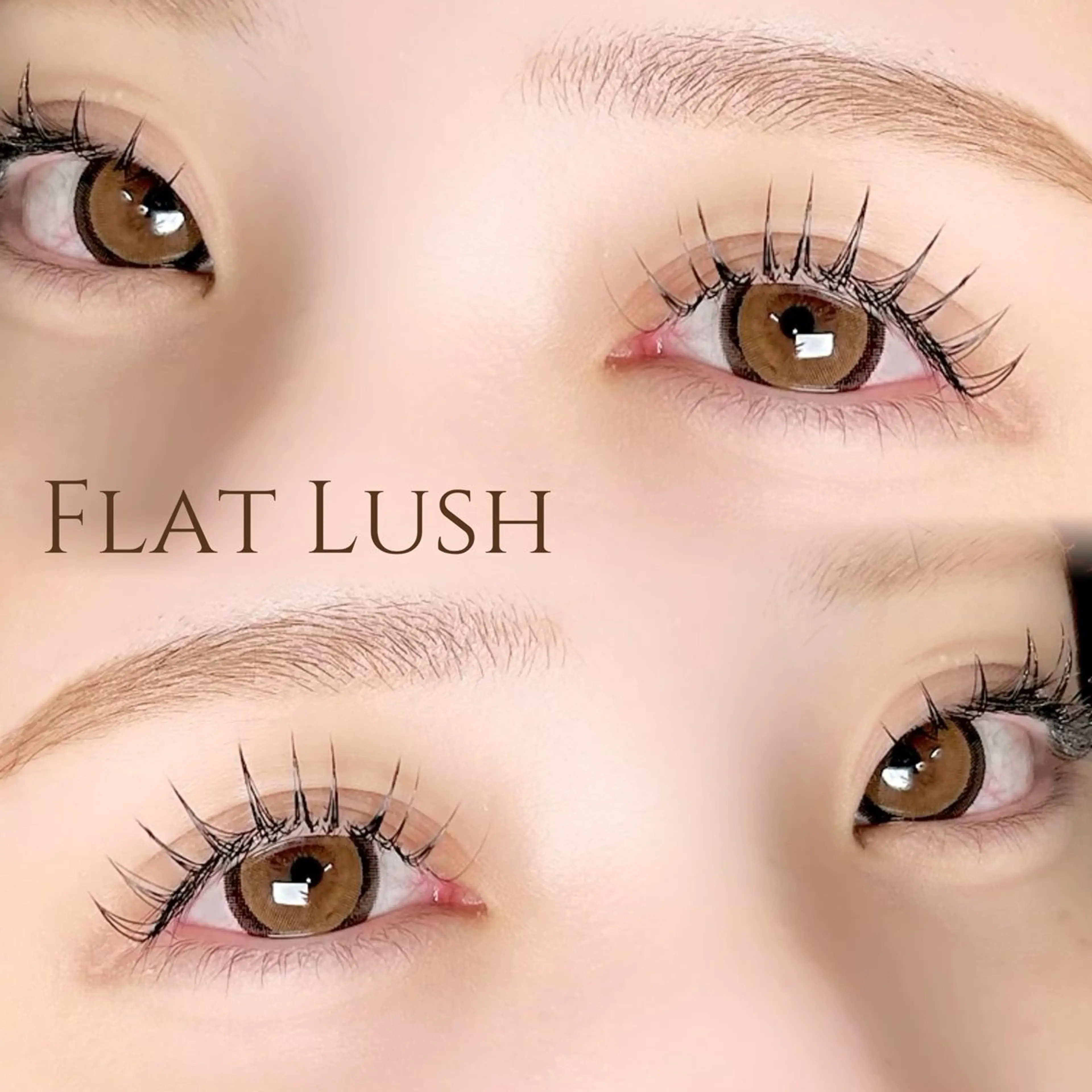 【当日限定】フラットラッシュ60分付け放題（リペア可）の写真