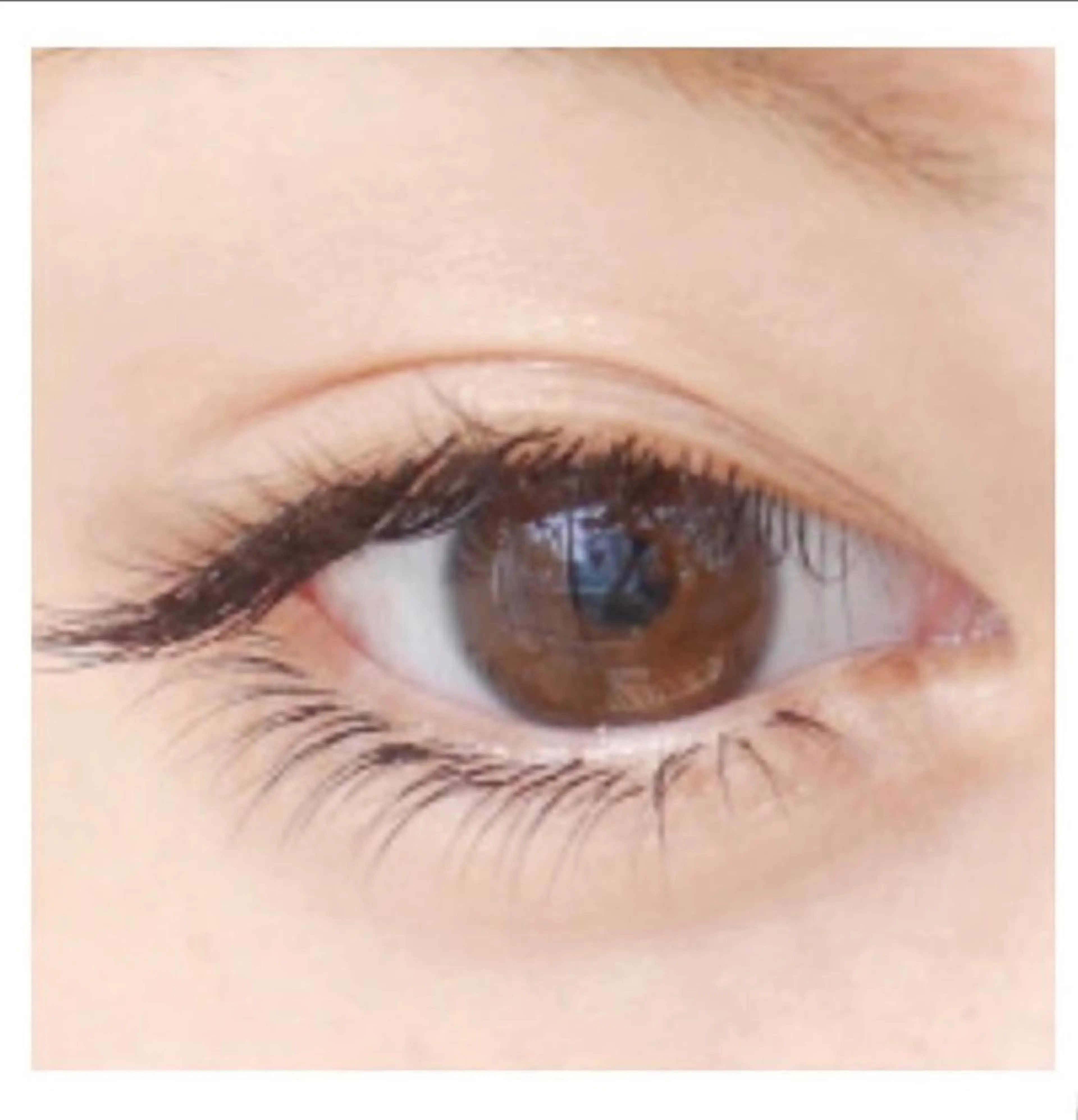 マツエク・マツパ 下まつげエクステ cohana mariのマツエク・マツパデザイン