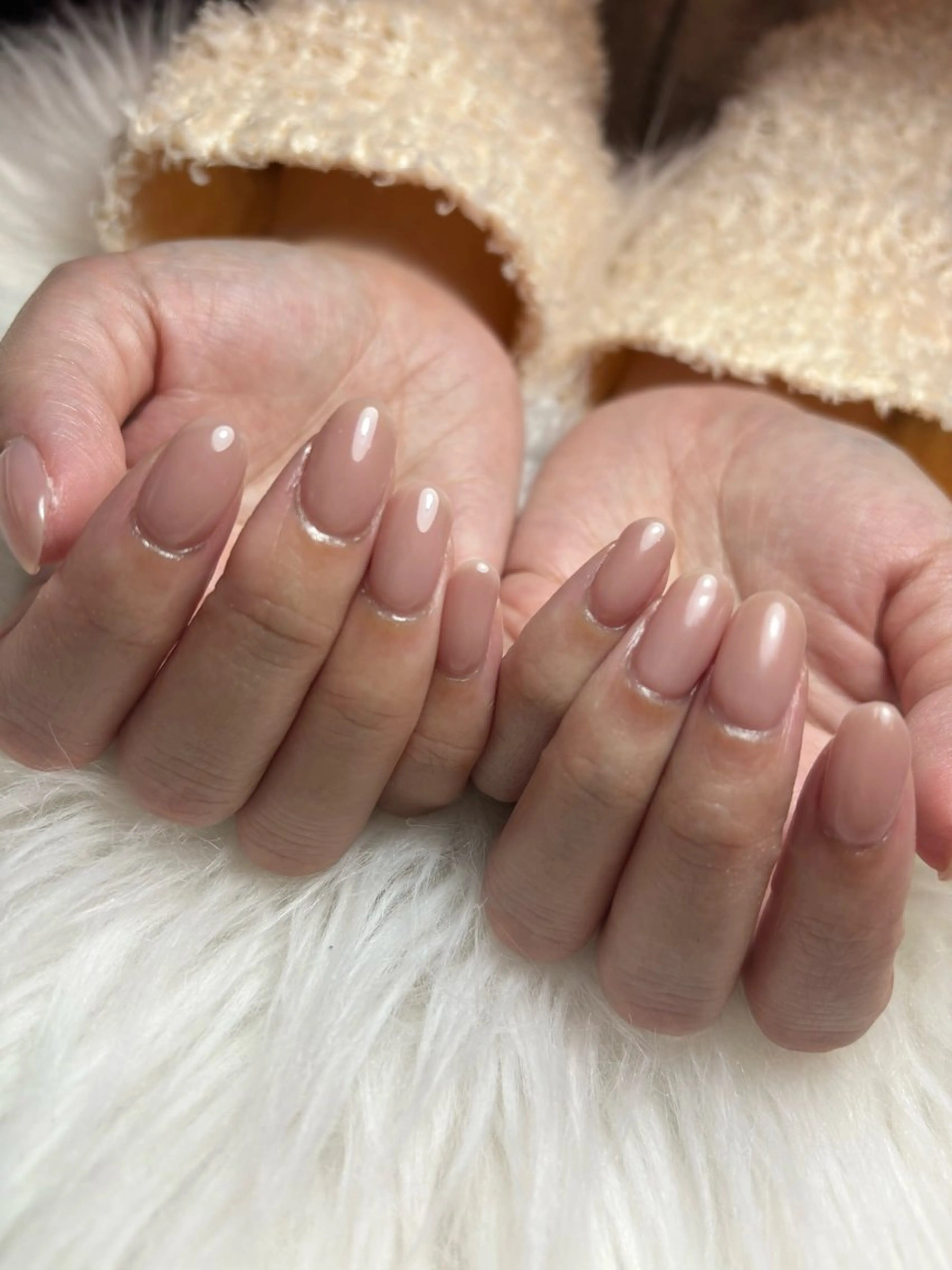 ワンカラーの写真