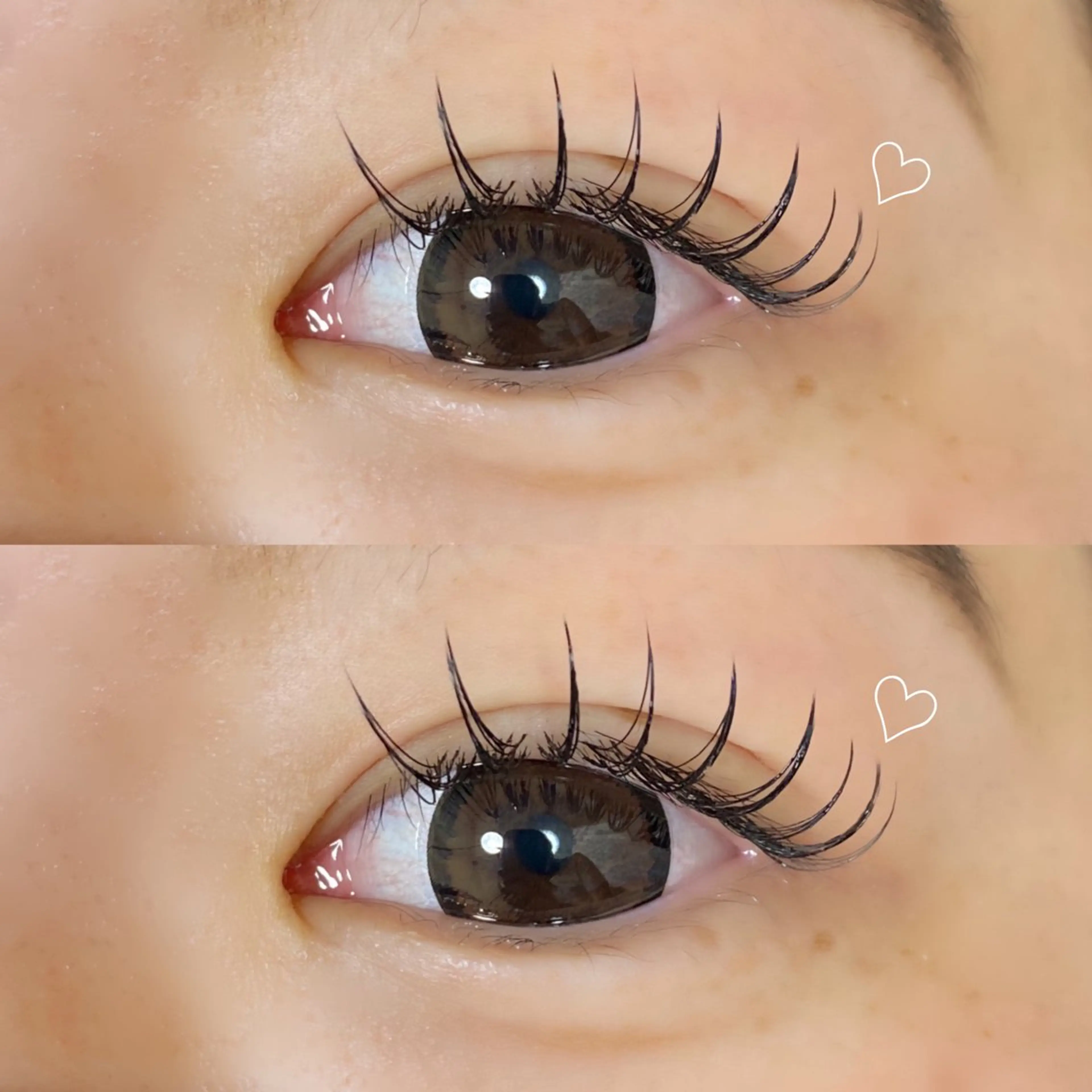 持続力◎ダブルフラット60束(120本)の写真