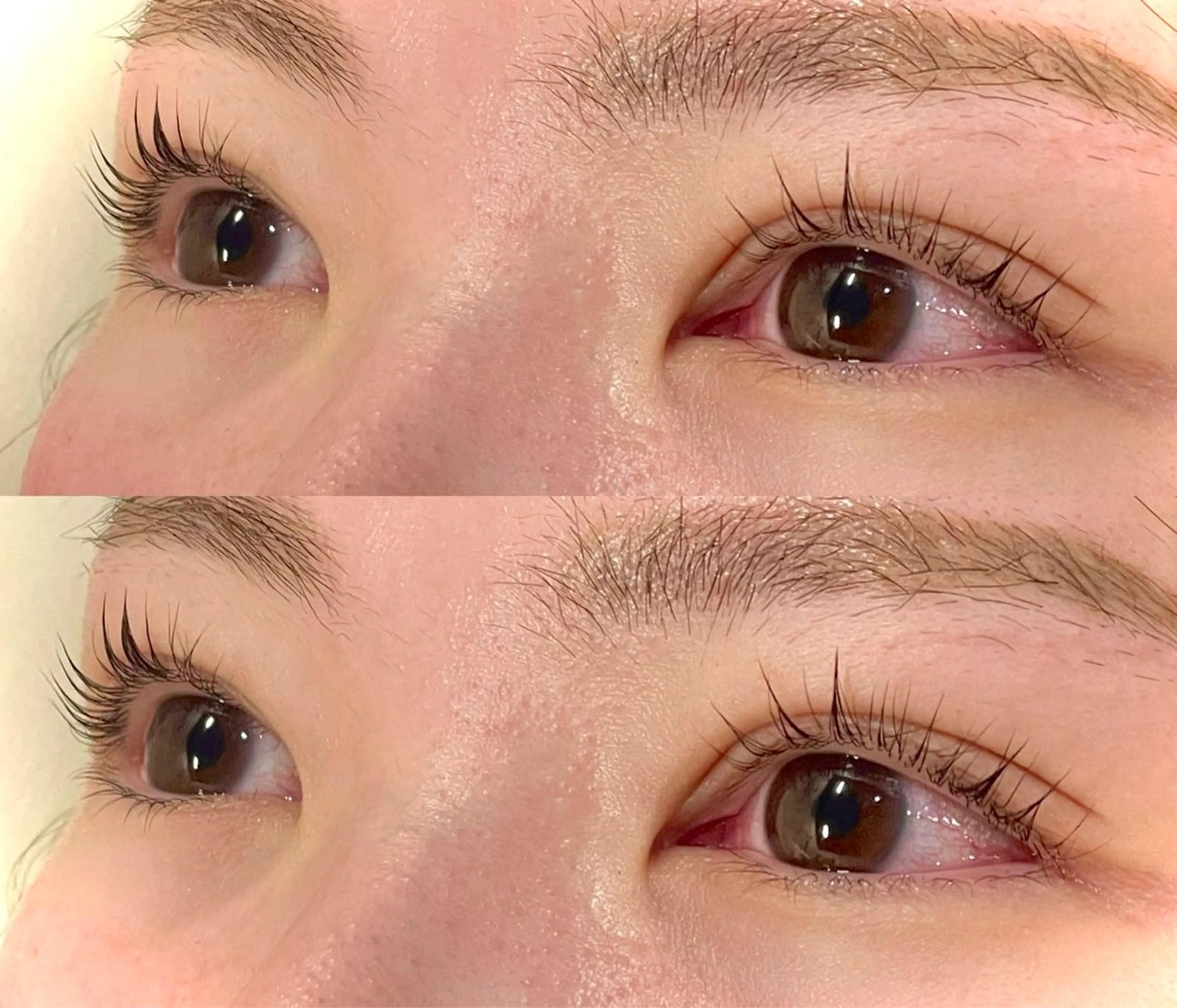 【👑一番人気👑】🌷ラッシュリフト🌷の写真