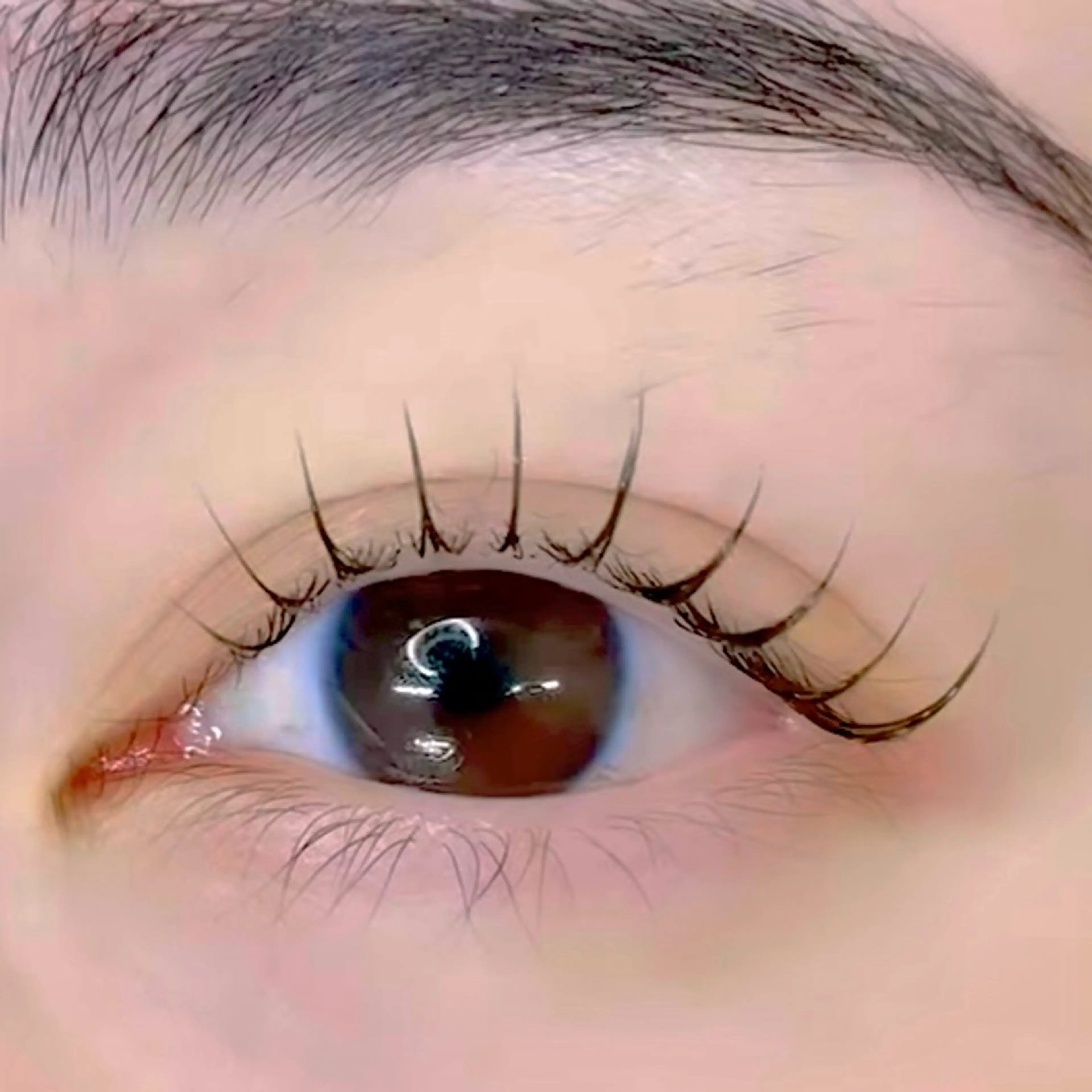 パーマ アイブロウ/HBL 🦄MEMEの眉毛・アイブロウイメージ