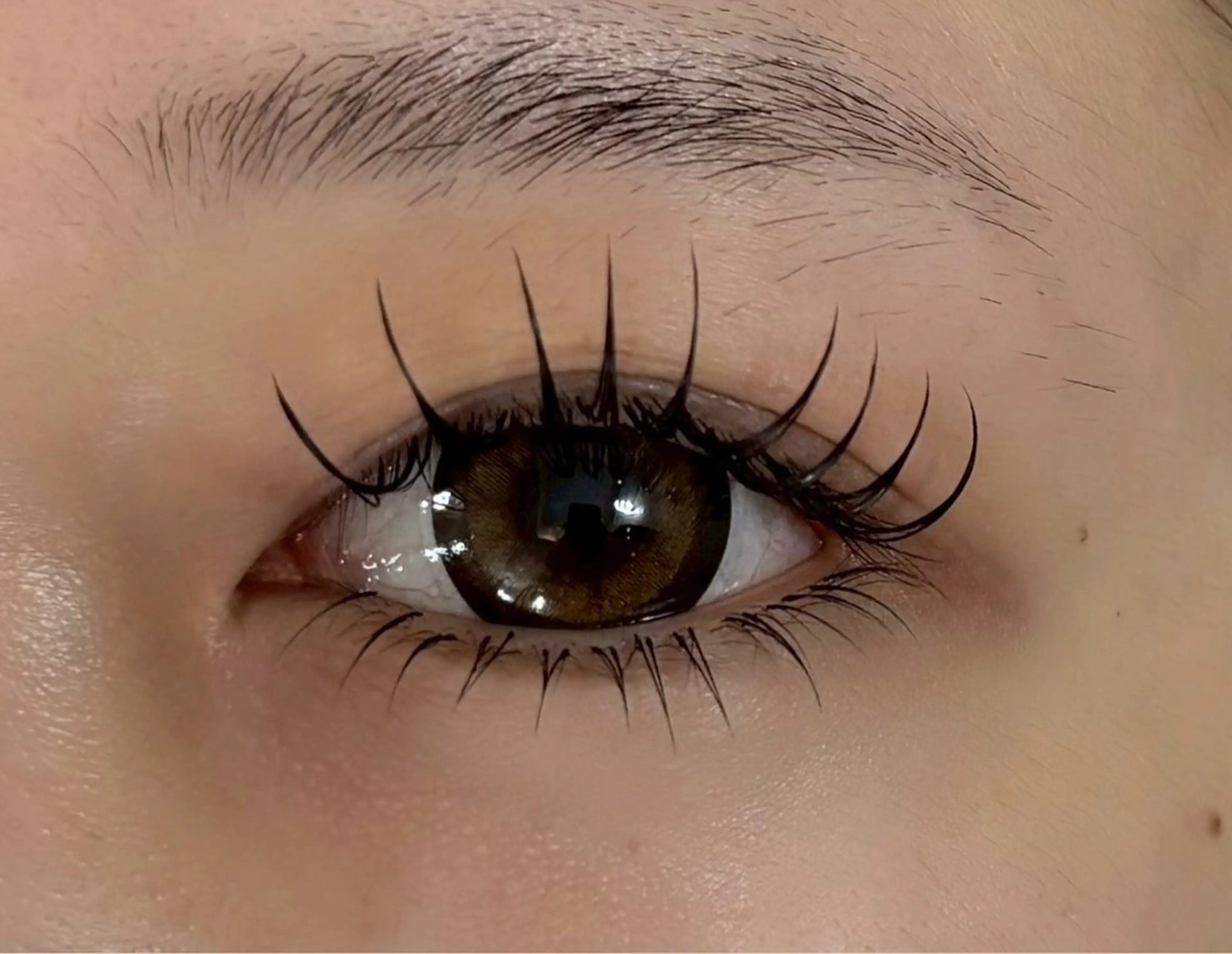 LED上下エクステ【上120本、下30本💎】の写真