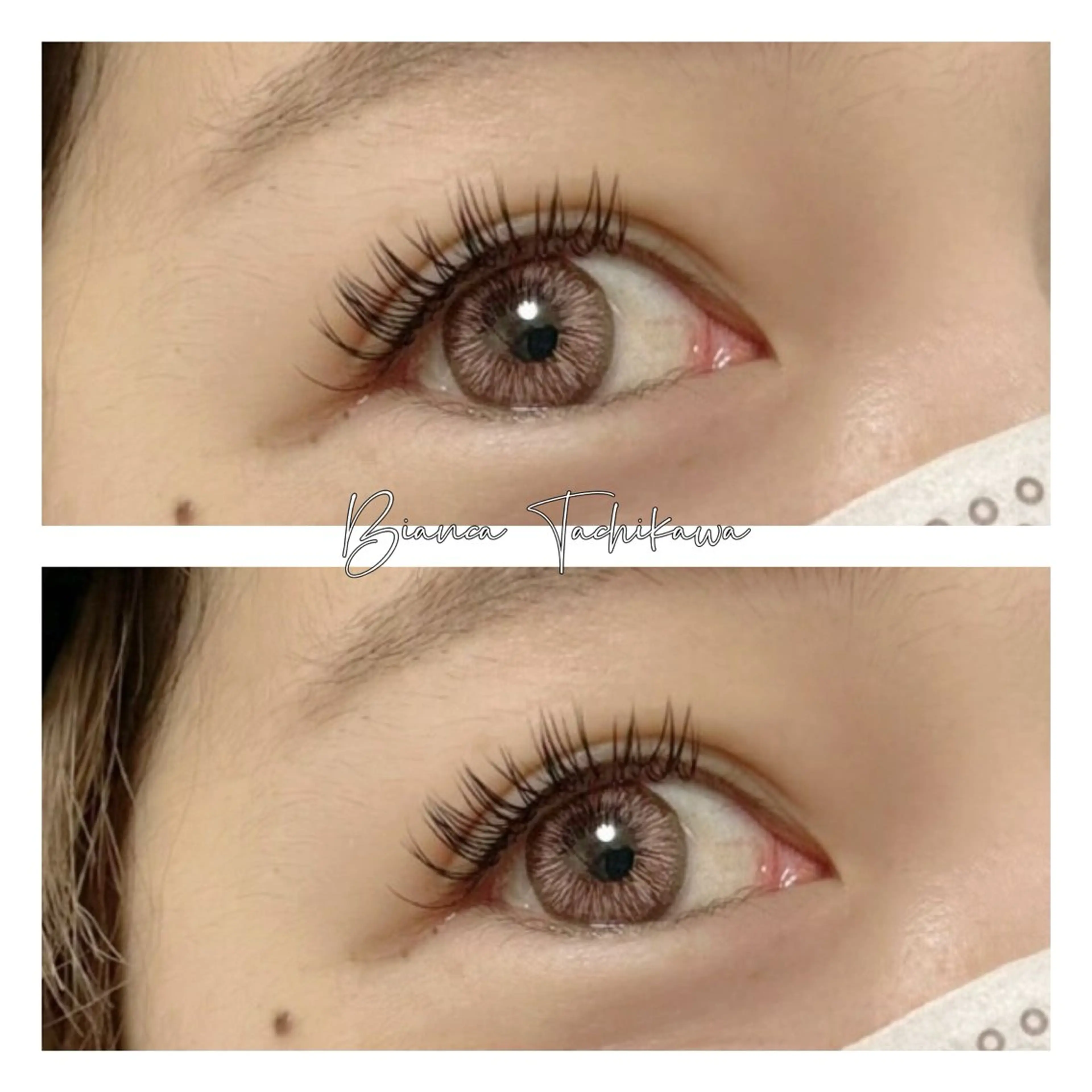 🌸&Healthy🌸フラットラッシュ120本¥10430【立川】の写真