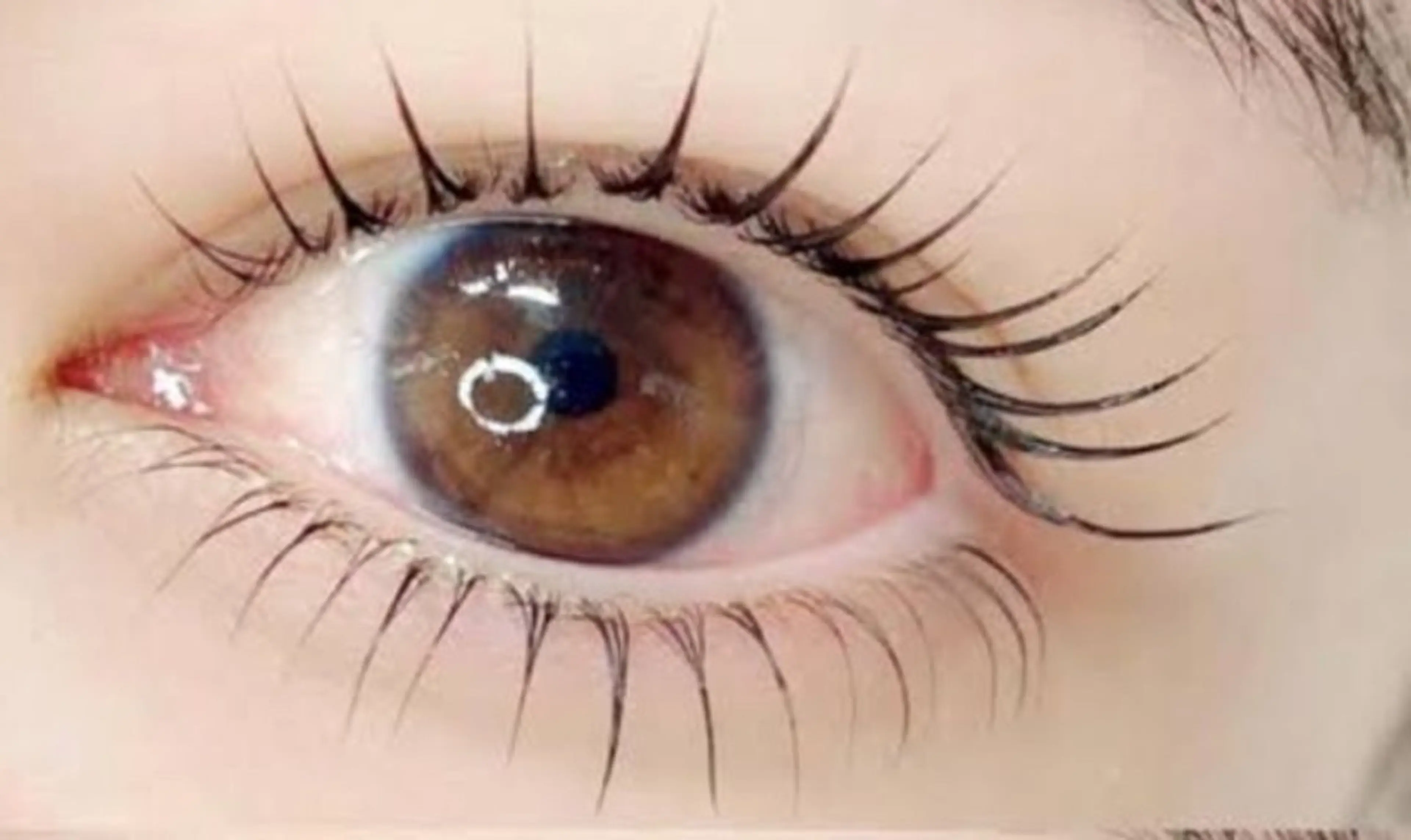 マツエク・マツパ サロン ベネのマツエク・マツパデザイン