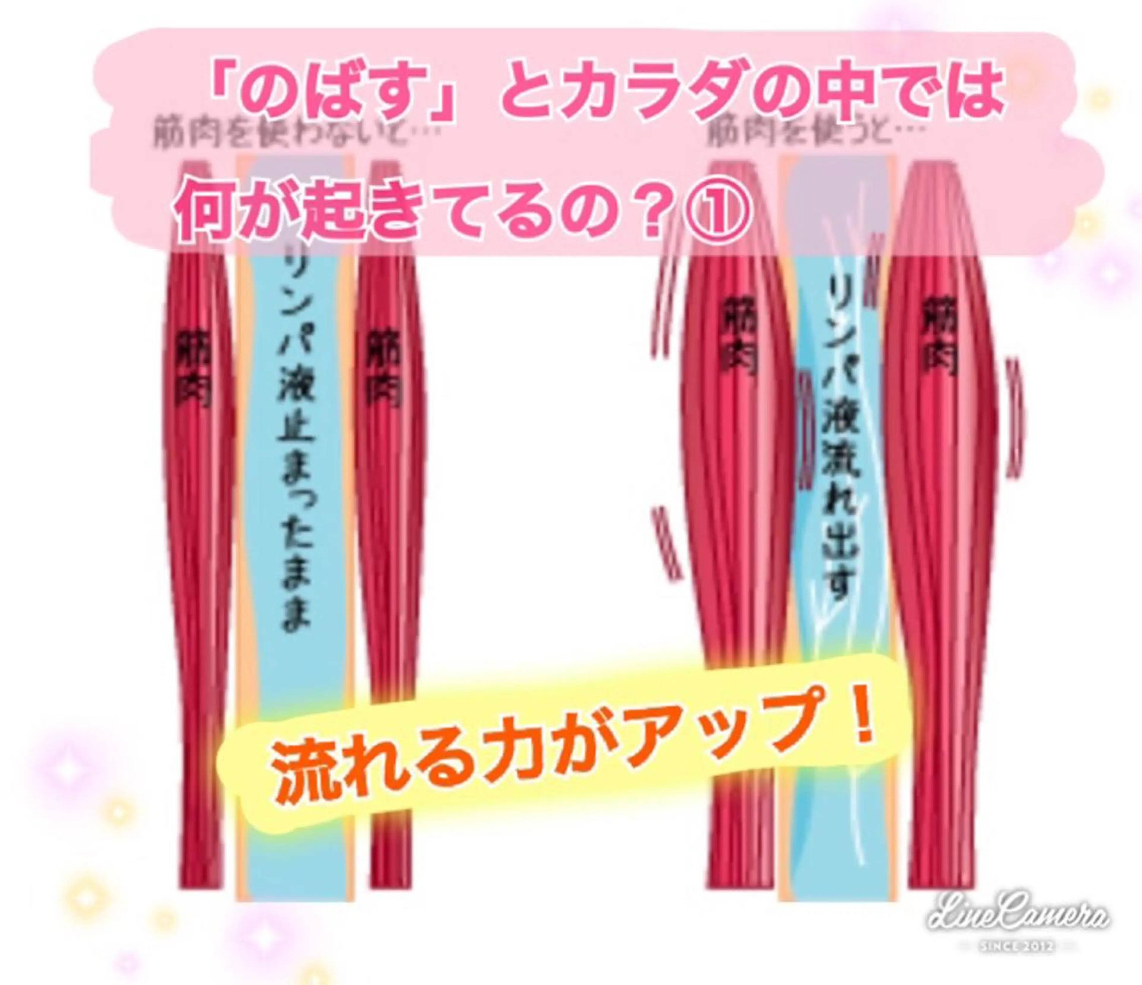 ショート カラー パーマ ヘアアレンジ メンズ キッズ ネイル マツエク・マツパ 伸ばしかけ ‍痩身＆ボディ 結果出し🌟丹野のエステ・リラクイメージ