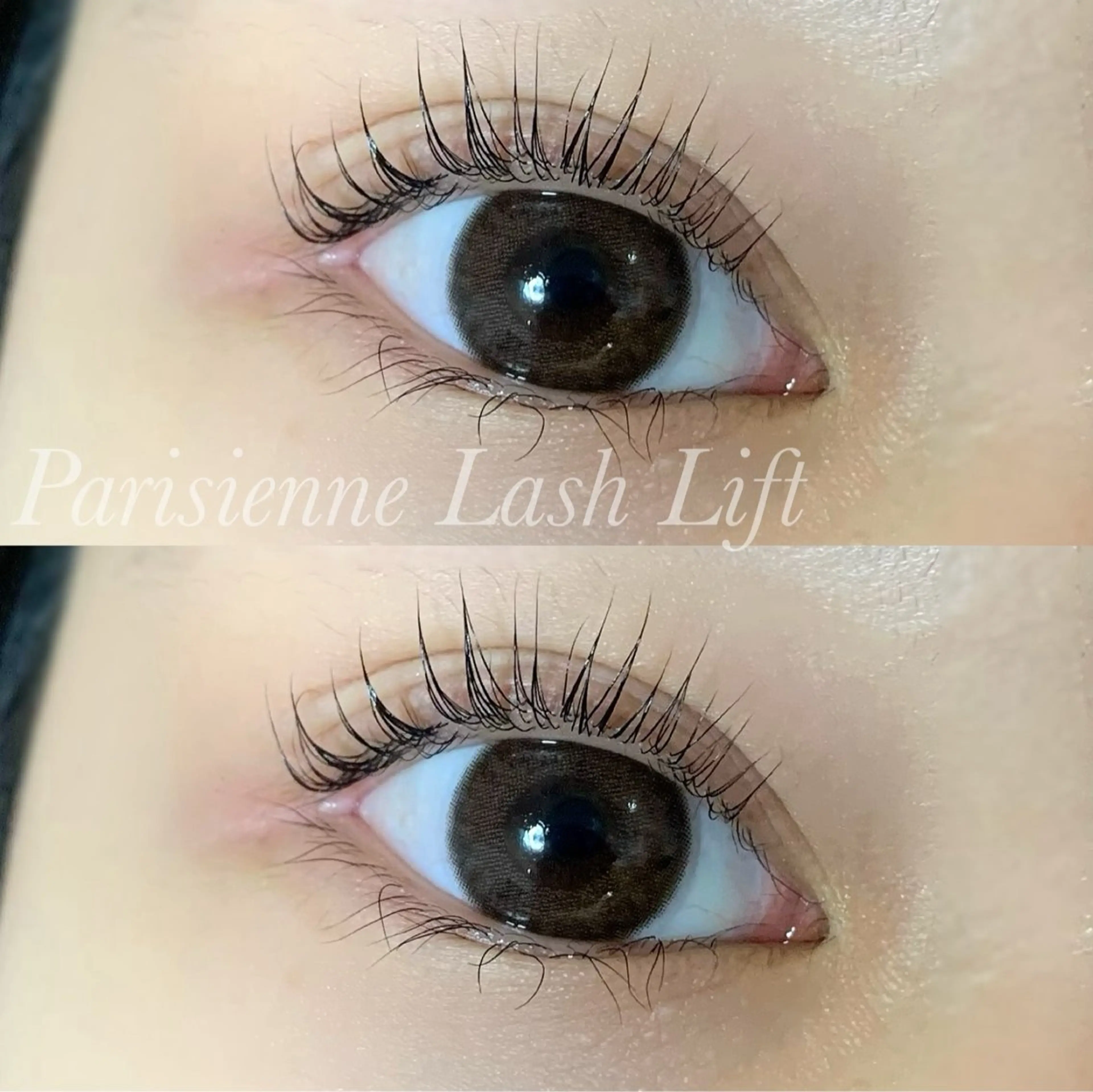 マツエク・マツパ パリジェンヌラッシュリフト マツパ Ayumi.pro 🍆N《4階》のマツエク・マツパデザイン