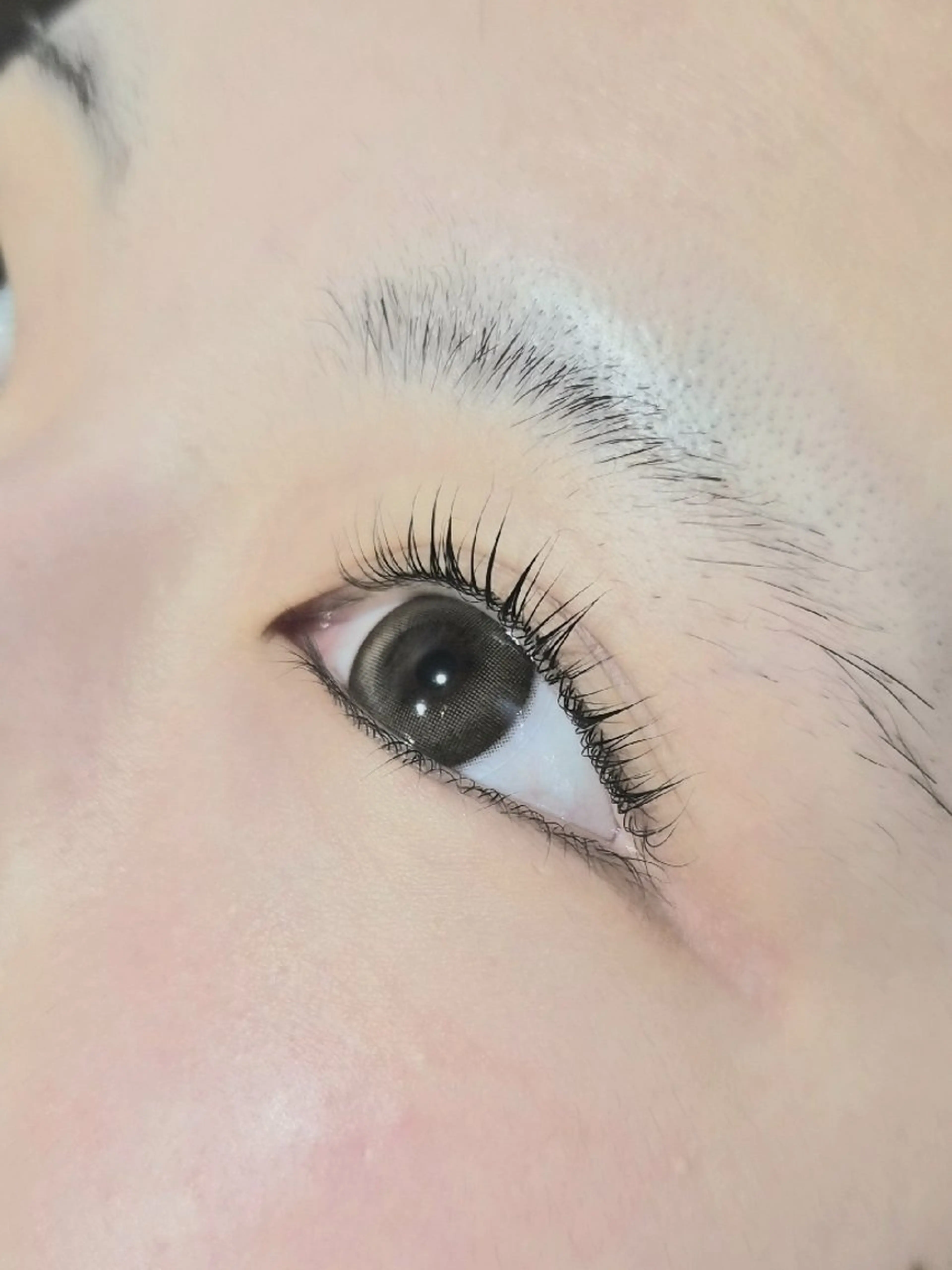 4/20～5/5まで¥1100!!まつ毛パーマモデル【マツエクオフあり】の写真