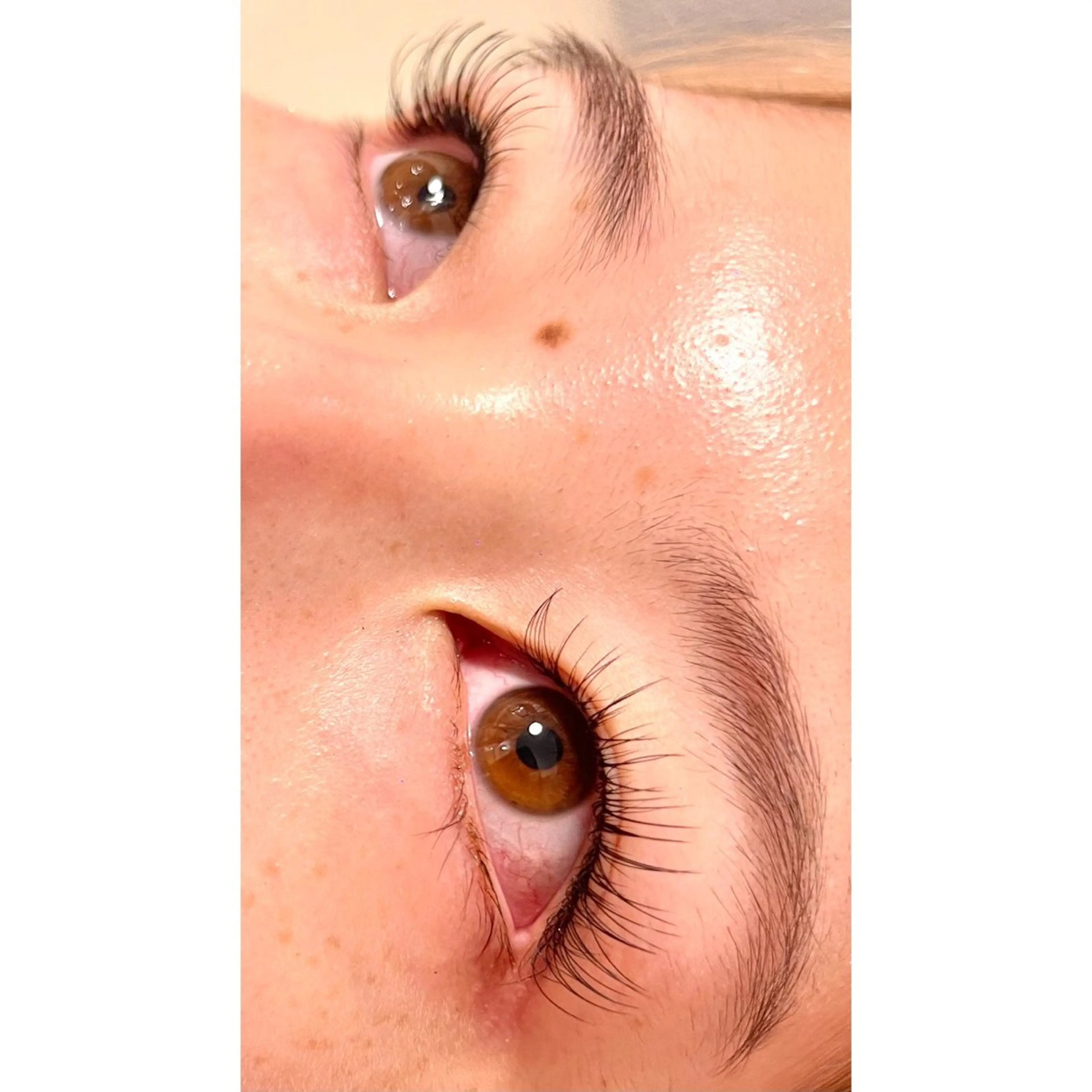 マツエク・マツパ マツエク eyelash GARDENのマツエク・マツパデザイン