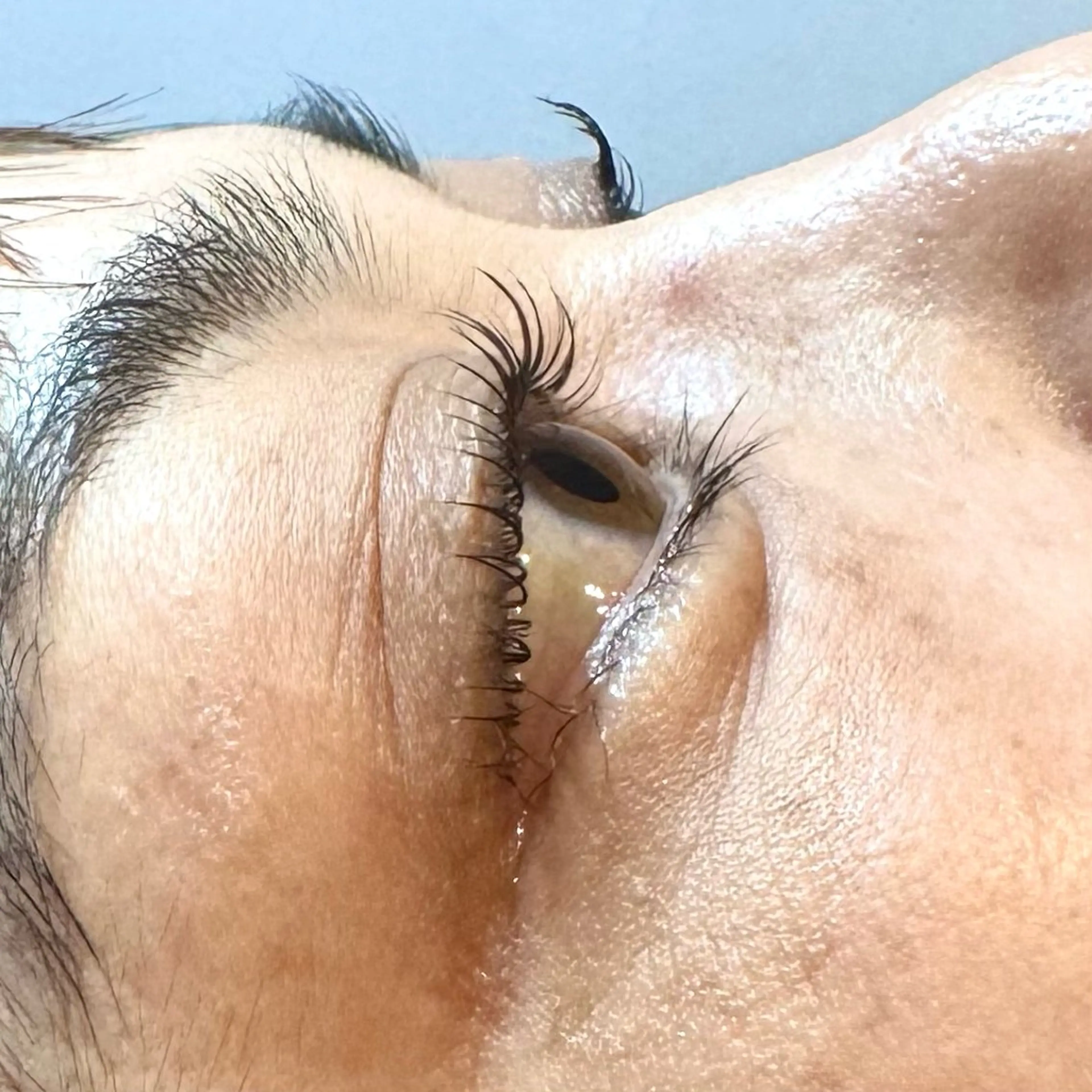 マツエク・マツパ パリジェンヌラッシュリフト マツパ diarblue鎌倉 🖤Reiのマツエク・マツパデザイン