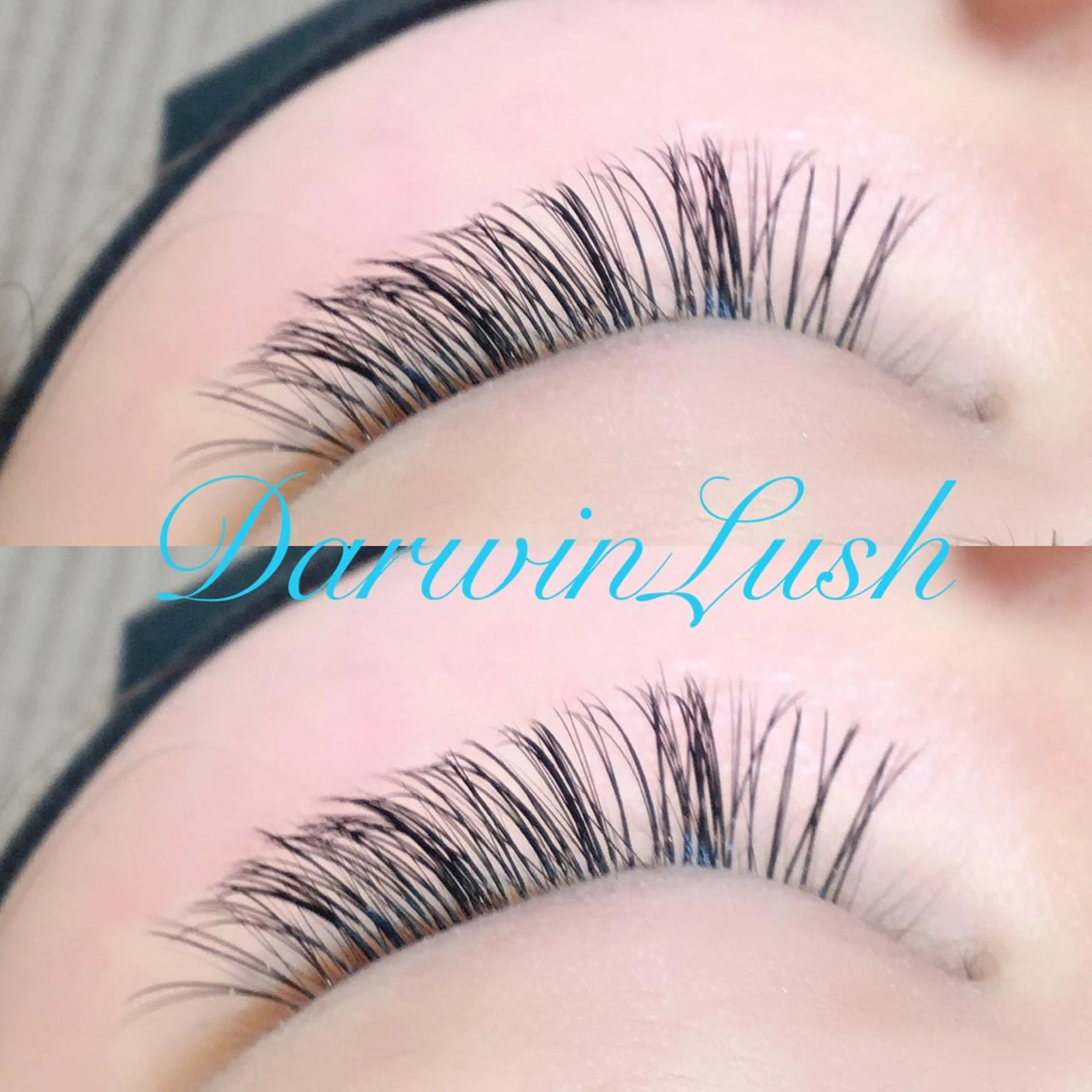 マツエク・マツパ 【ダメージケア特化】 🌸 サクララッシュの眉毛・アイブロウイメージ