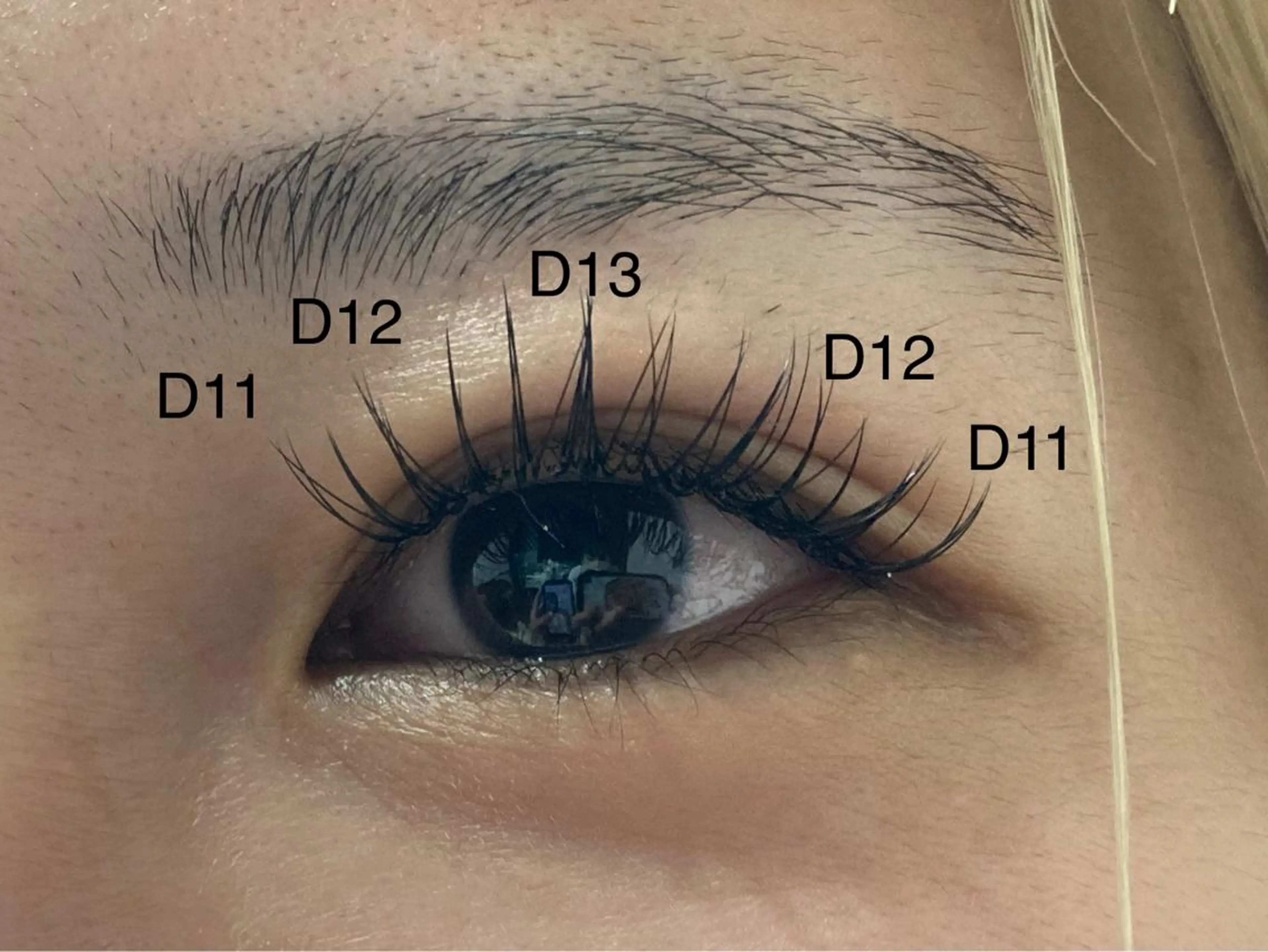 🖤マツエク120本🖤アイシャンプー付(オフ+コーティング込み)の写真