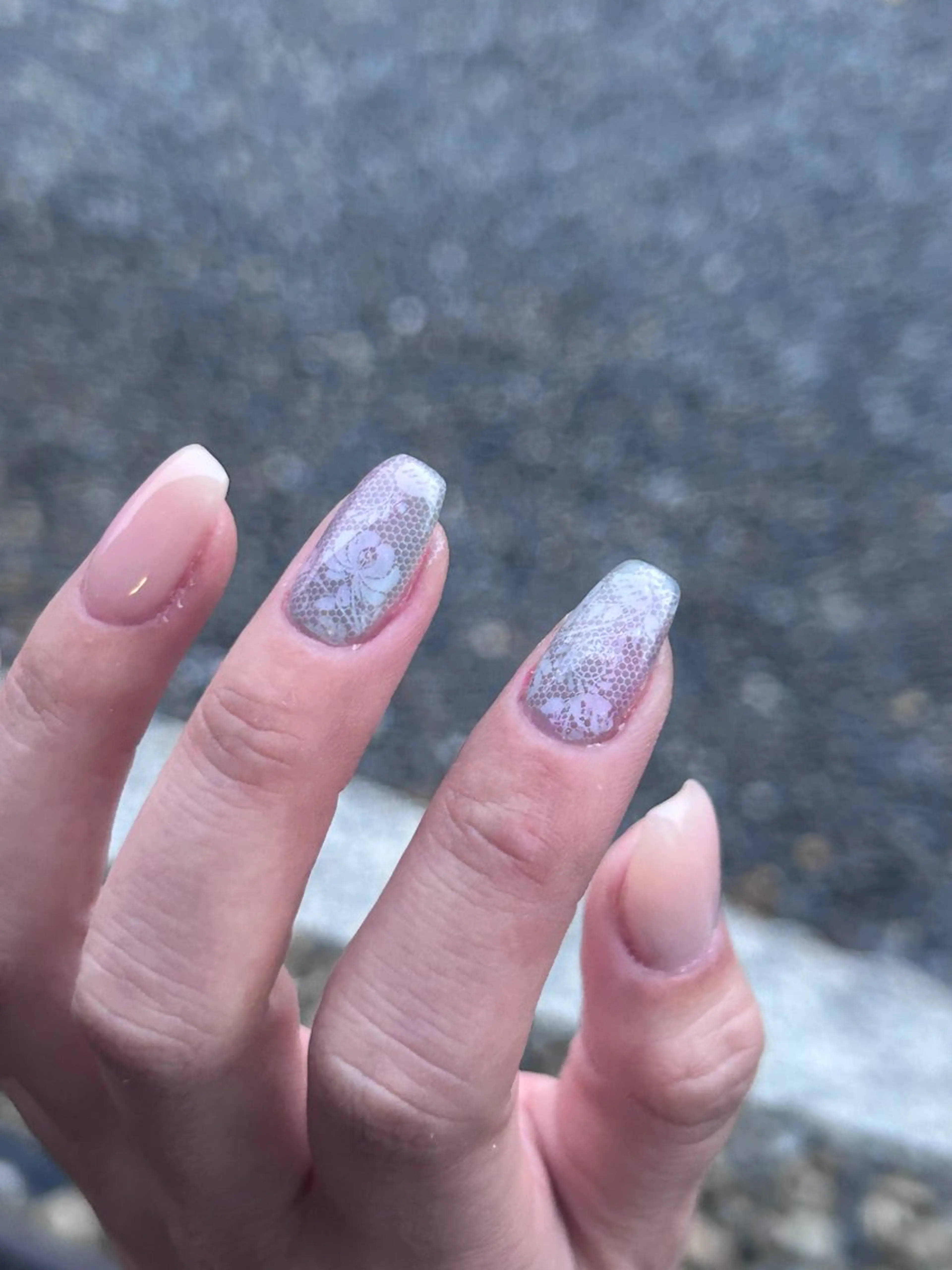 design【petite】の写真