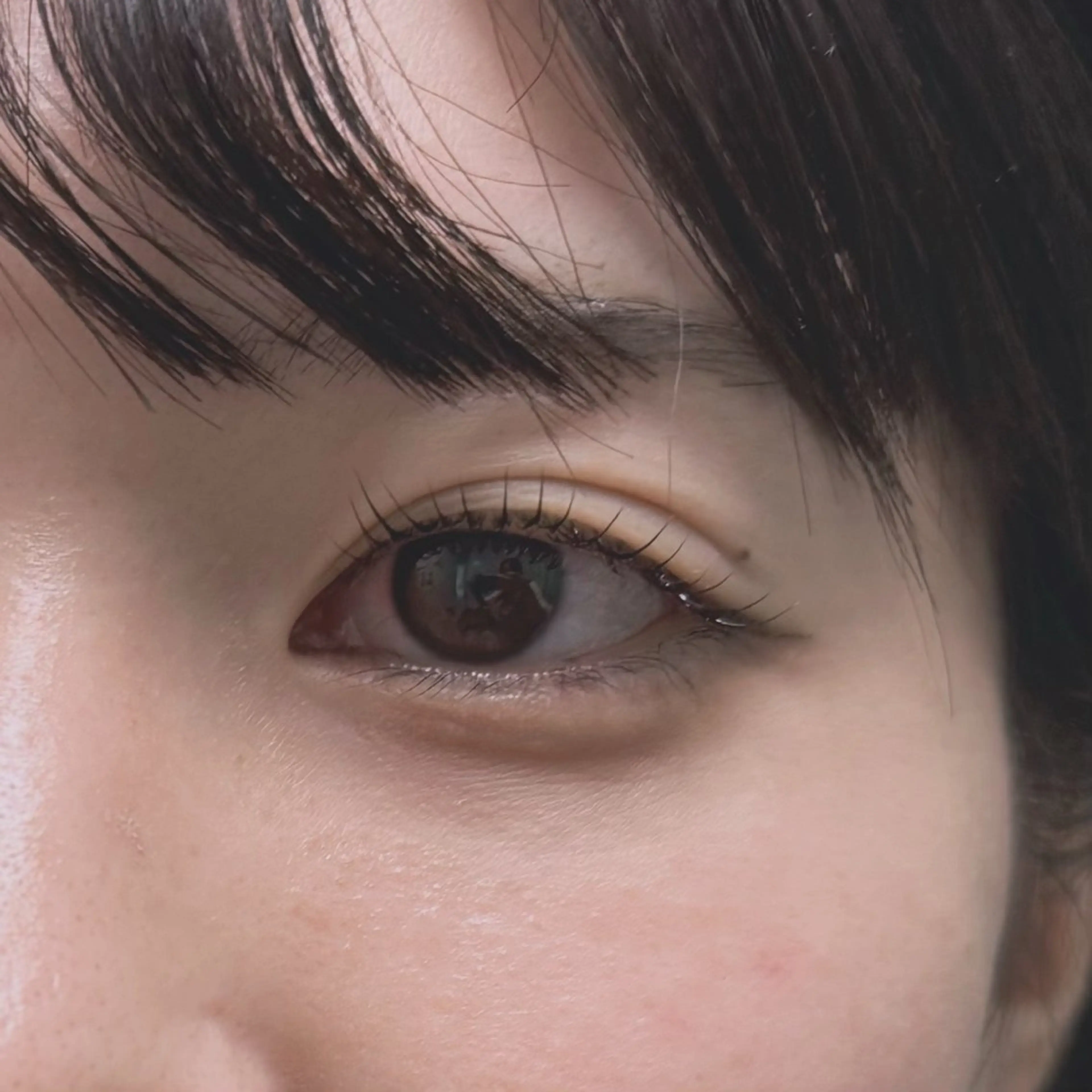 マツエク・マツパ ナチュラル マツパ EYELA 小針店 神子島の眉毛・アイブロウイメージ