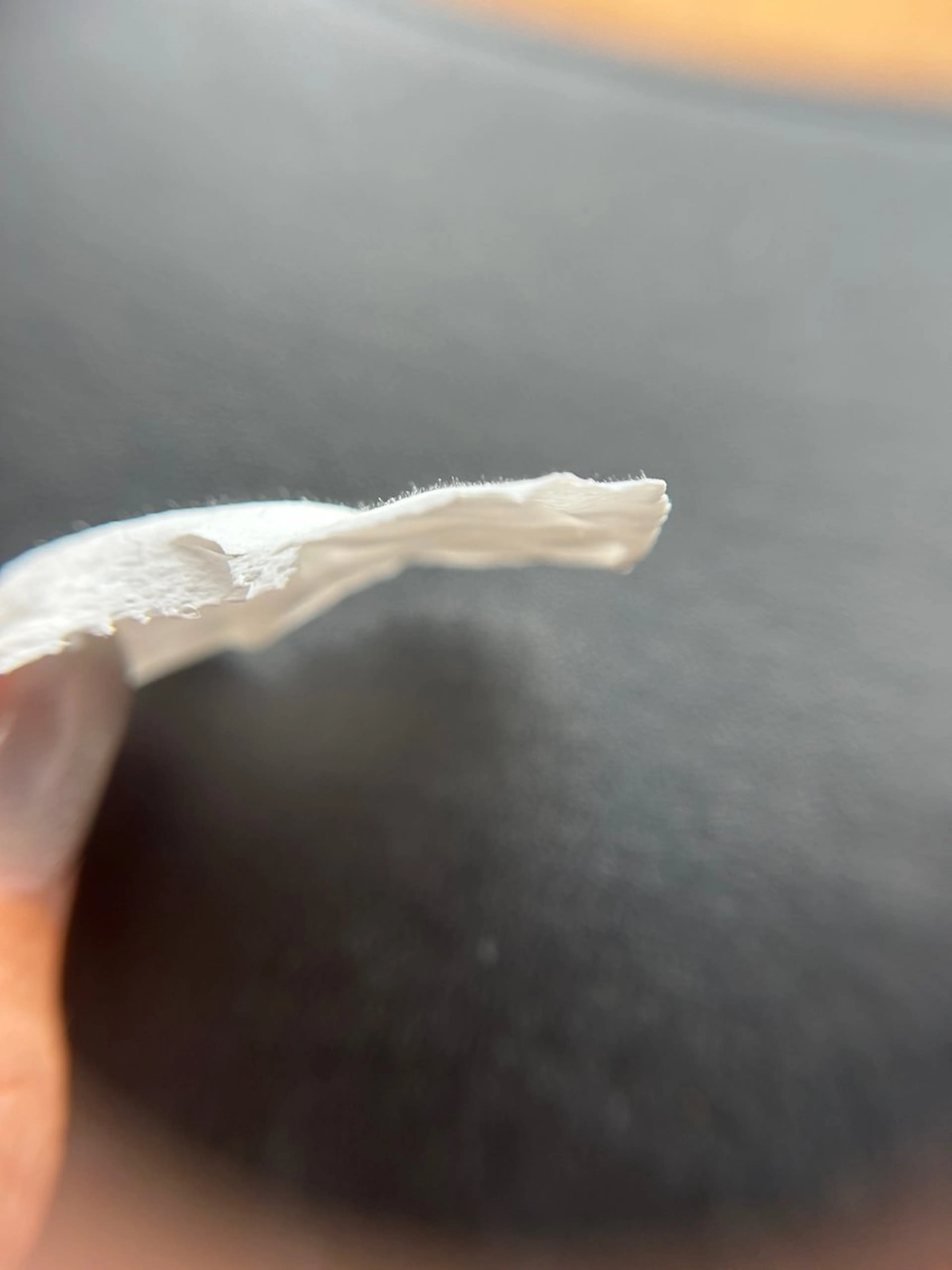 ginger ジンジャーのマツエク・マツパデザイン