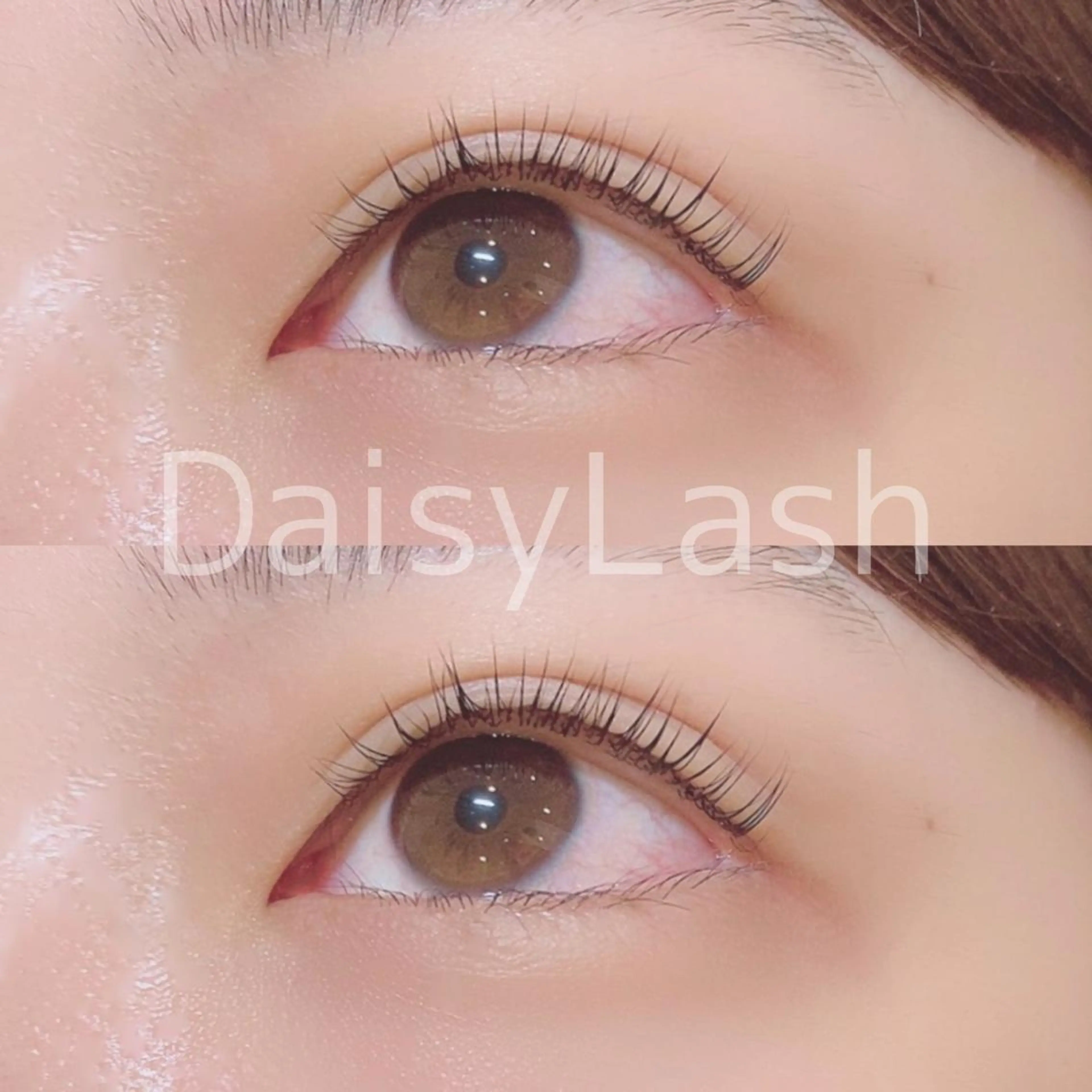 マツエク・マツパ DaisyLash 京橋店のマツエク・マツパデザイン
