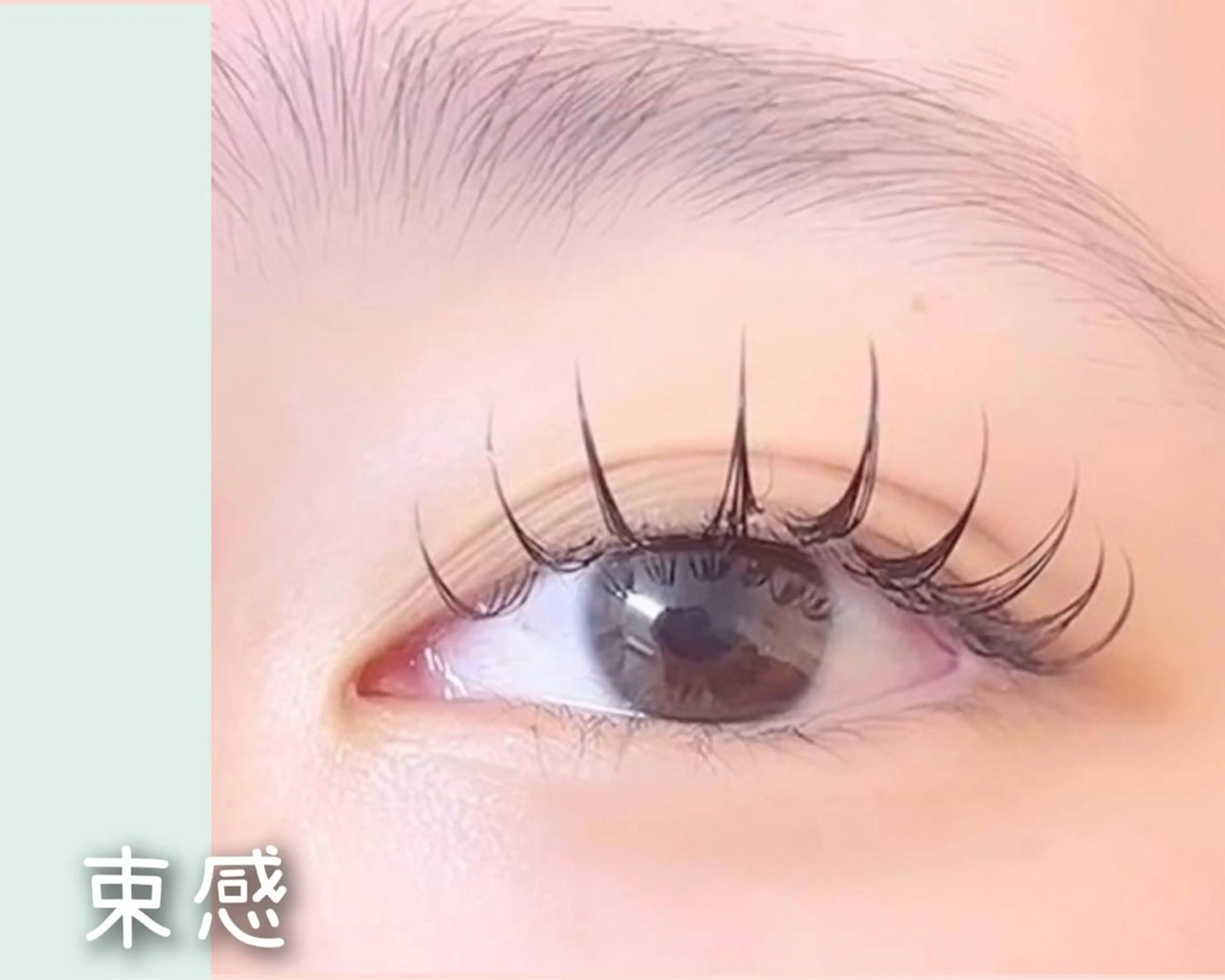 セーブルラッシュ100本🩵オフありの写真