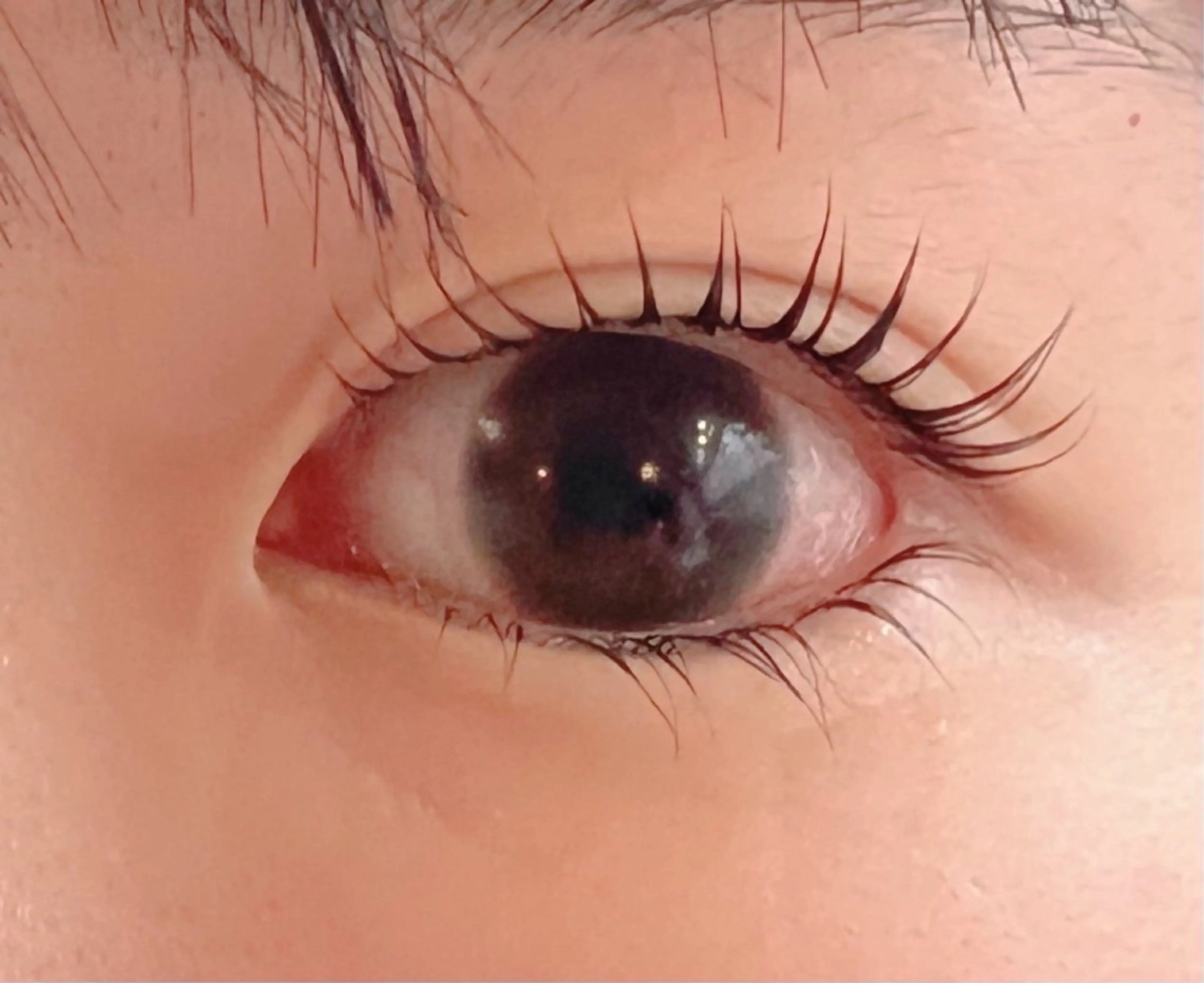 マツエク・マツパ 束感まつ毛 マツパ ALO所属・ALO ASUKAのマツエク・マツパデザイン