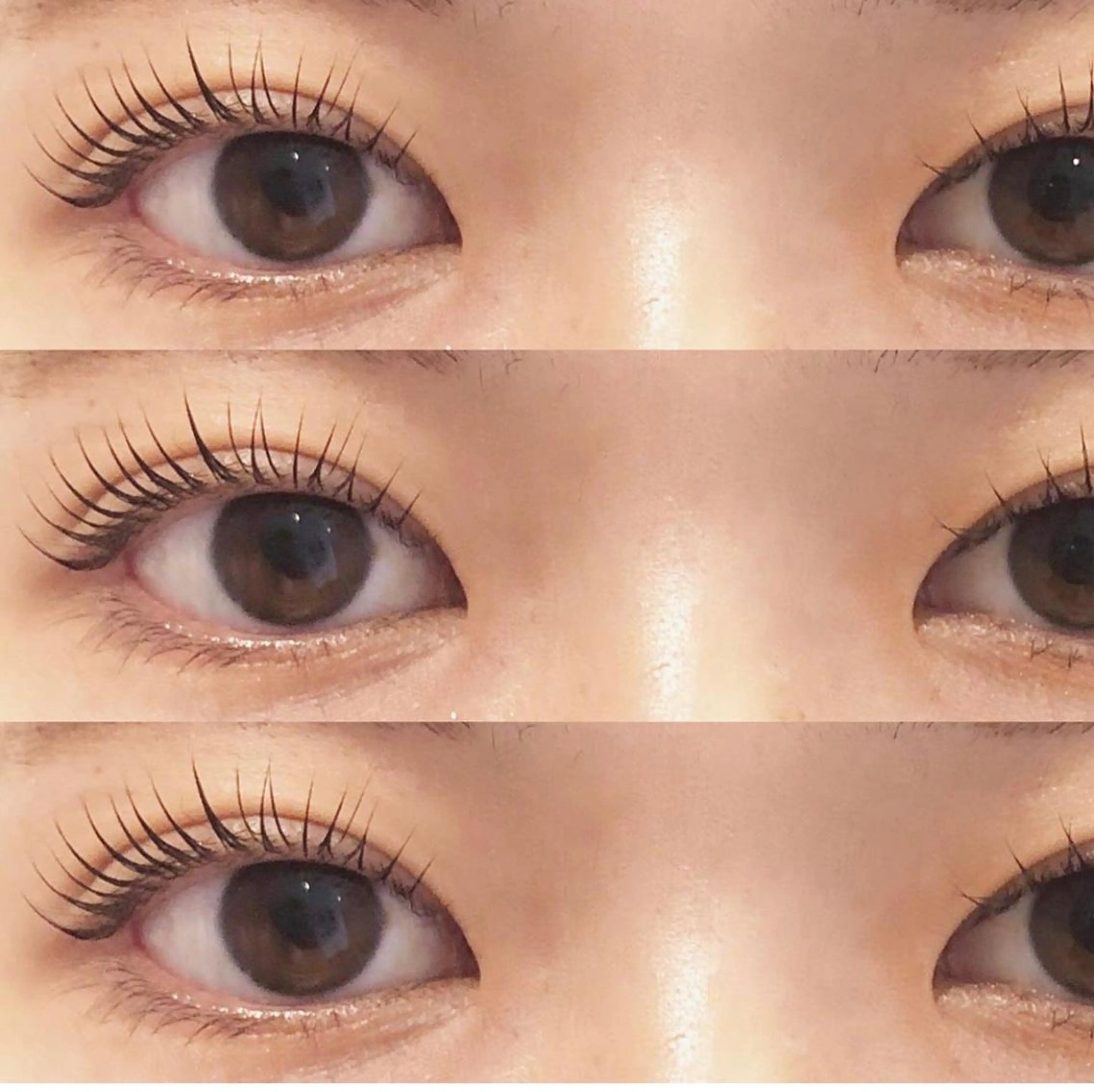 マツエク・マツパ フラットラッシュ パリジェンヌラッシュリフト Nao /博多/ パリジェンヌ/まつパのマツエク・マツパデザイン