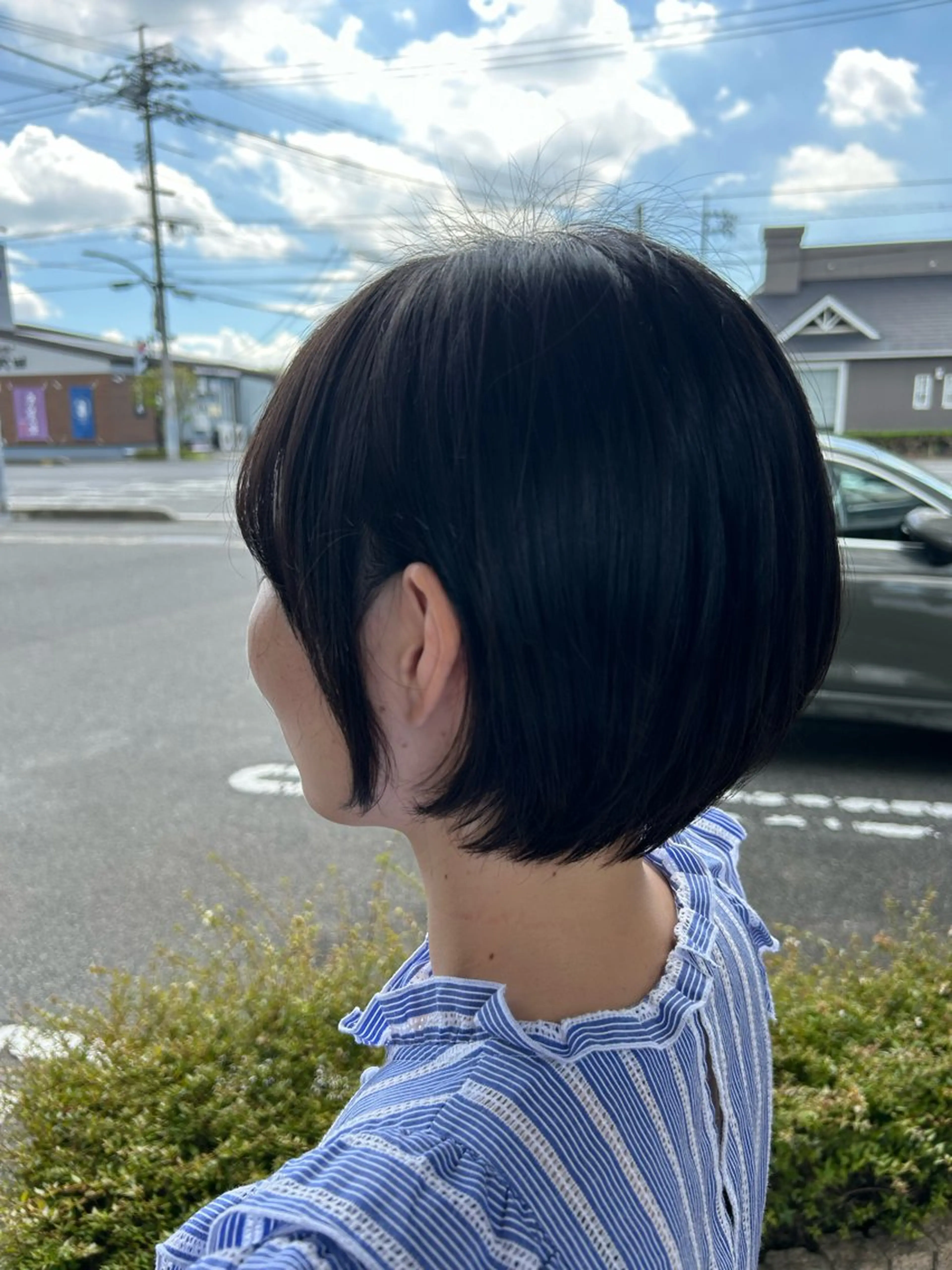 カットモデルの写真